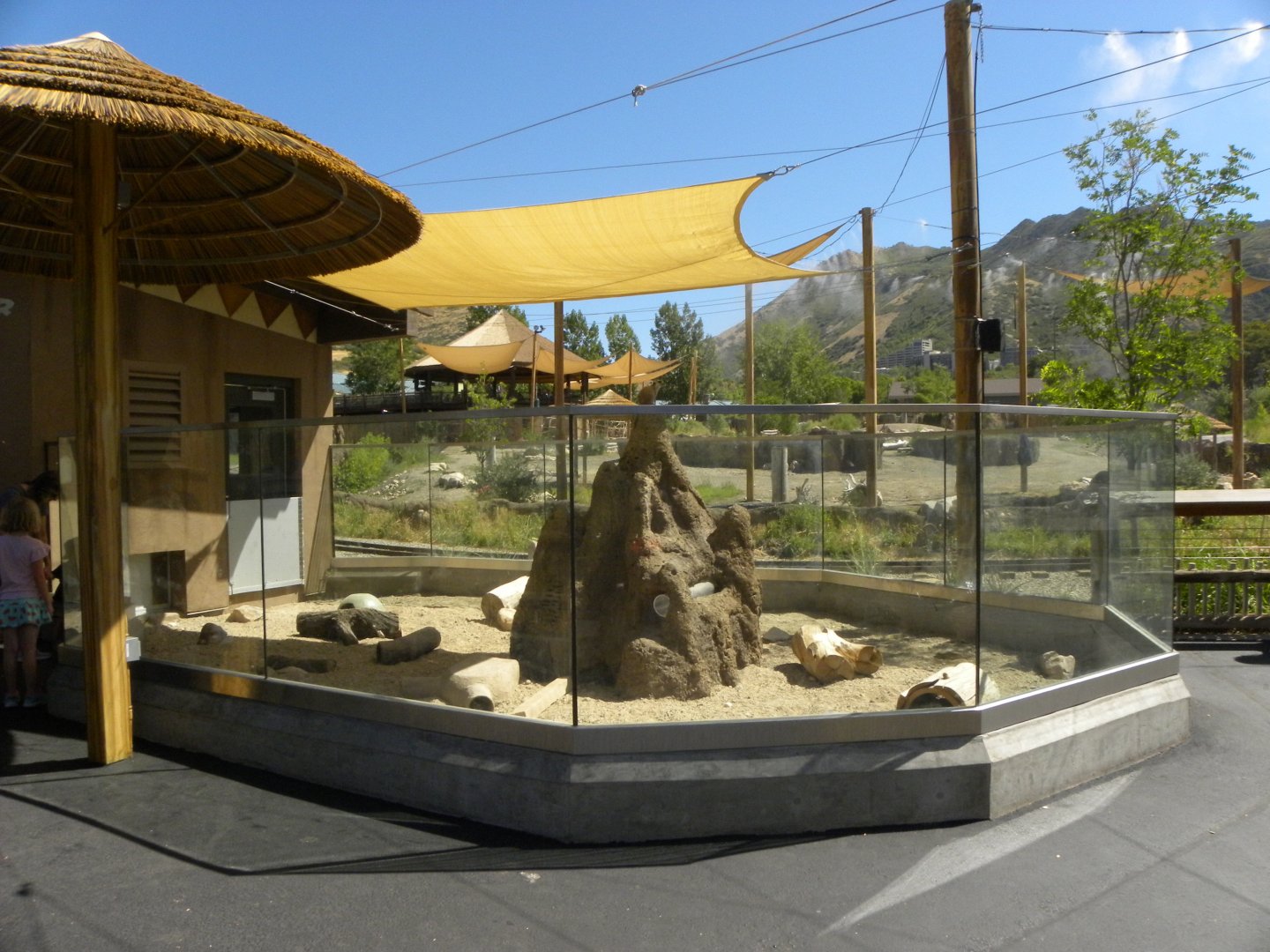 Sep. 2019 - Meerkat Manor - Outdoor Exhibit