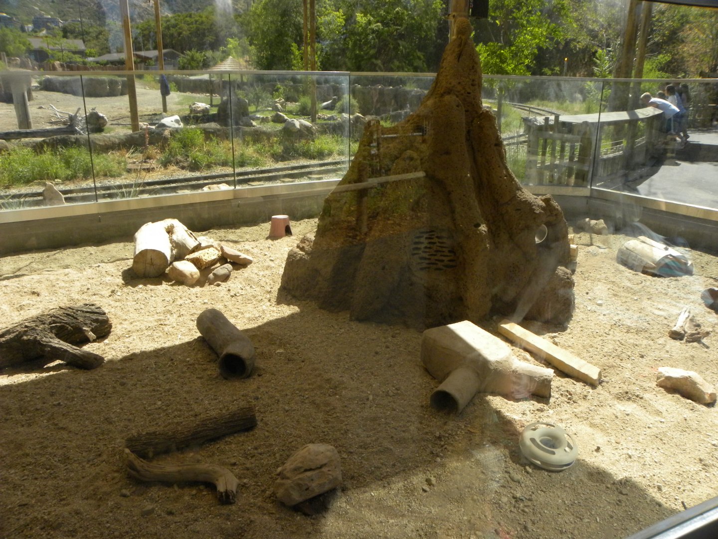Sep. 2019 - Meerkat Manor - Outdoor Exhibit