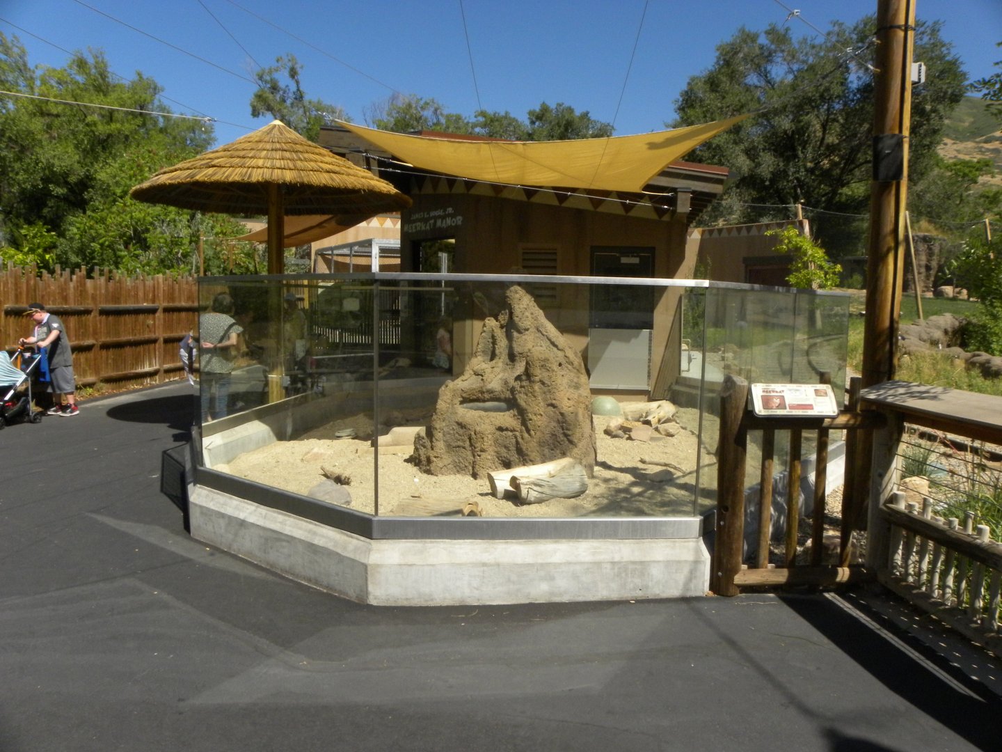 Sep. 2019 - Meerkat Manor - Outdoor Exhibit