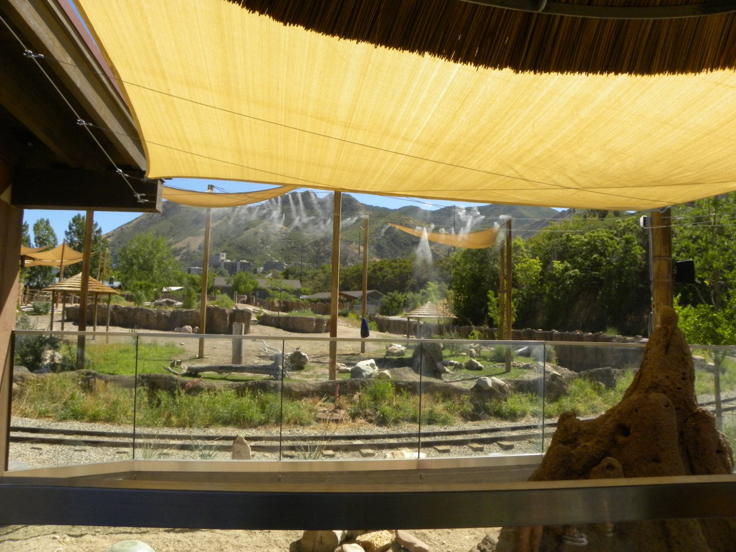 Sep. 2019 - Meerkat Manor - View of the Savannah