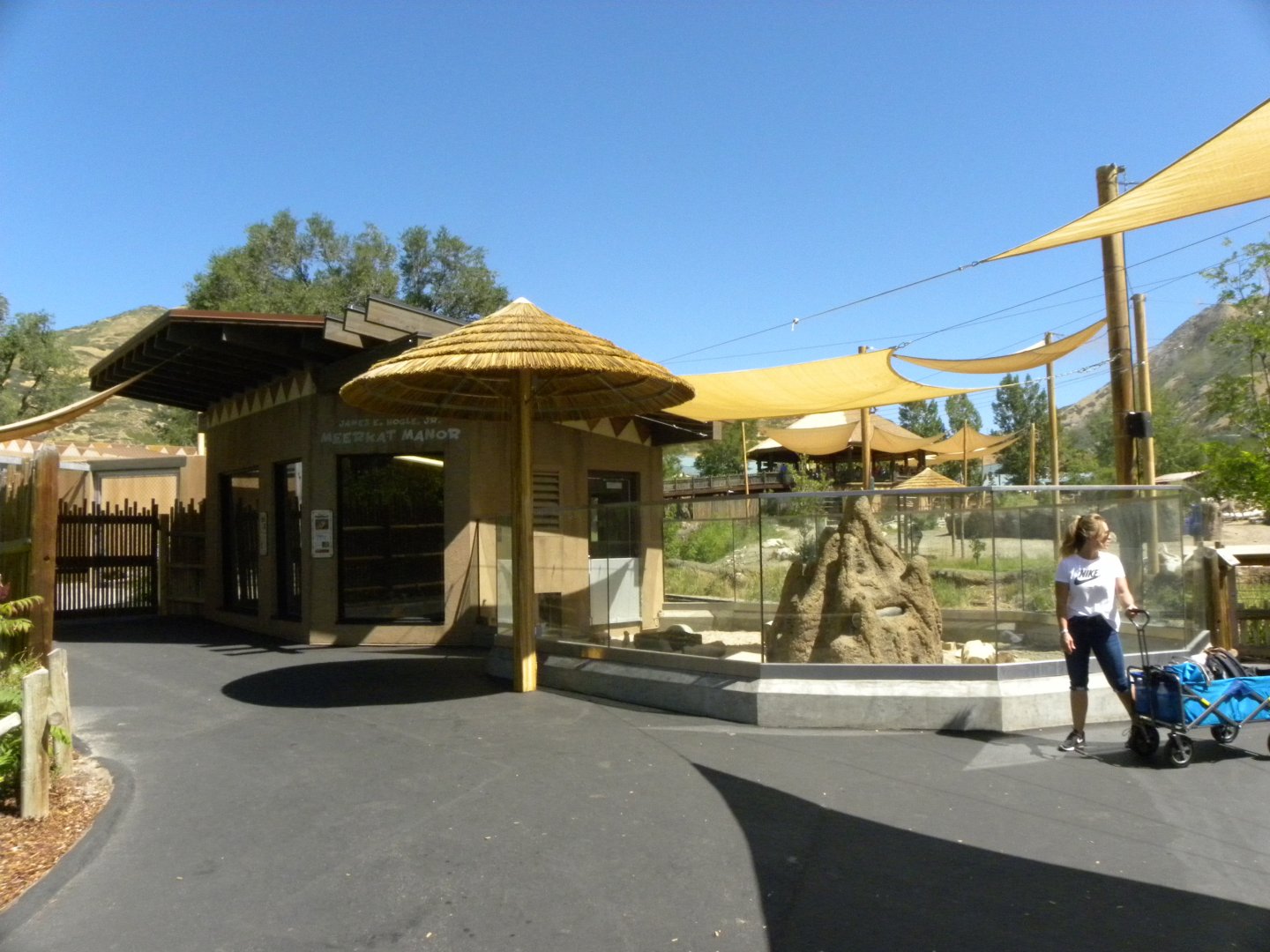 Sep. 2019 - Meerkat Manor