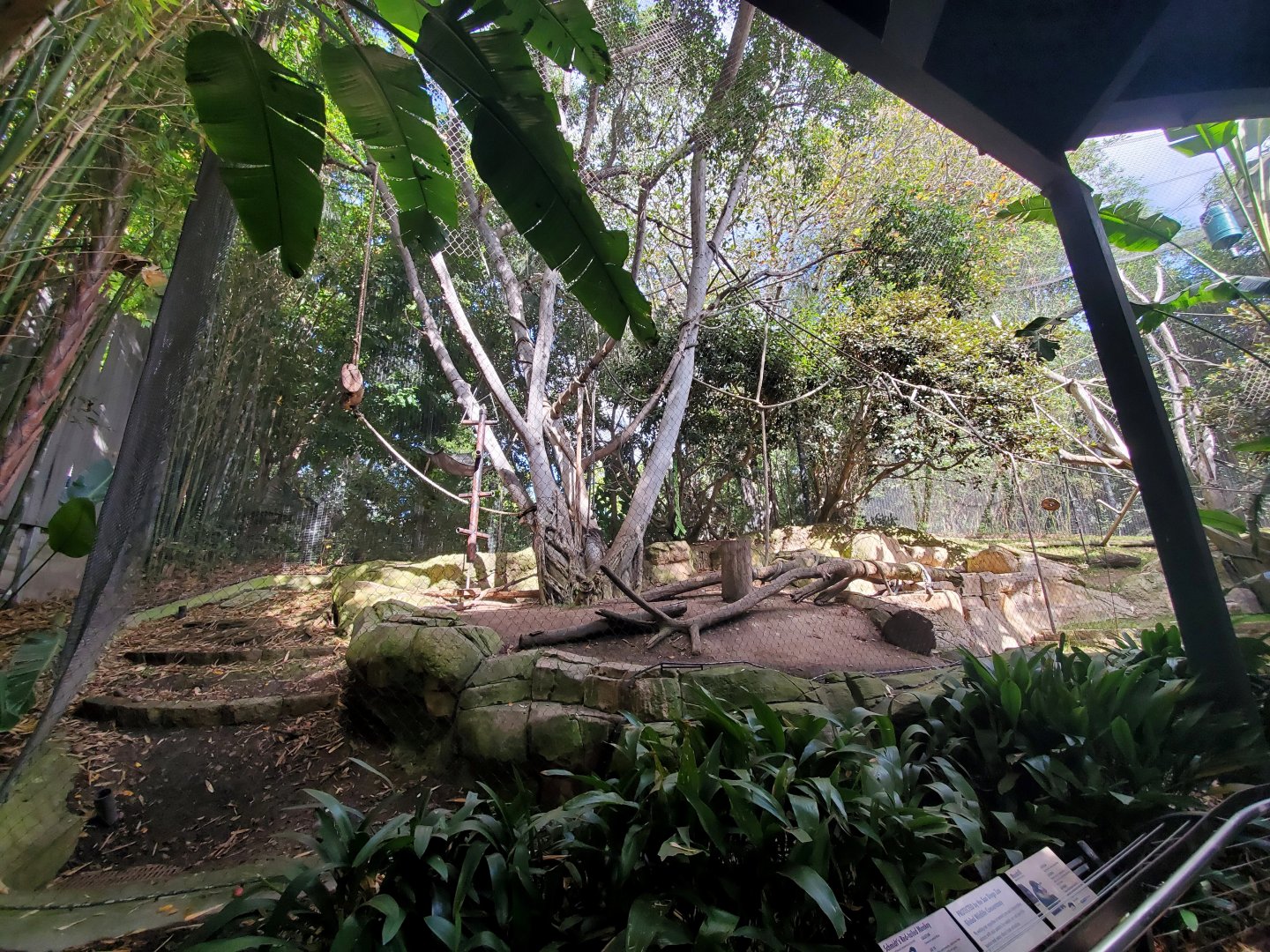 Sep. 2019 - Monkey Trails & Forest Tales - Mandrill/Red-tailed Monkey Exhibit (Bottom View)