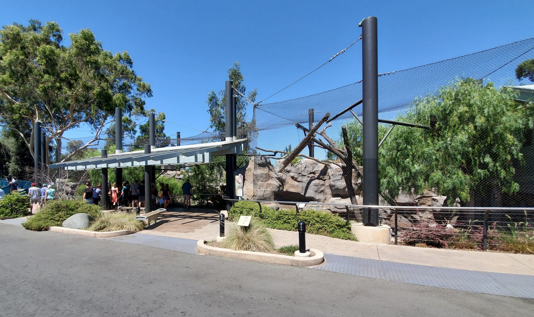 Sep. 2019 - Northern Frontier - Mountain Lion Exhibit