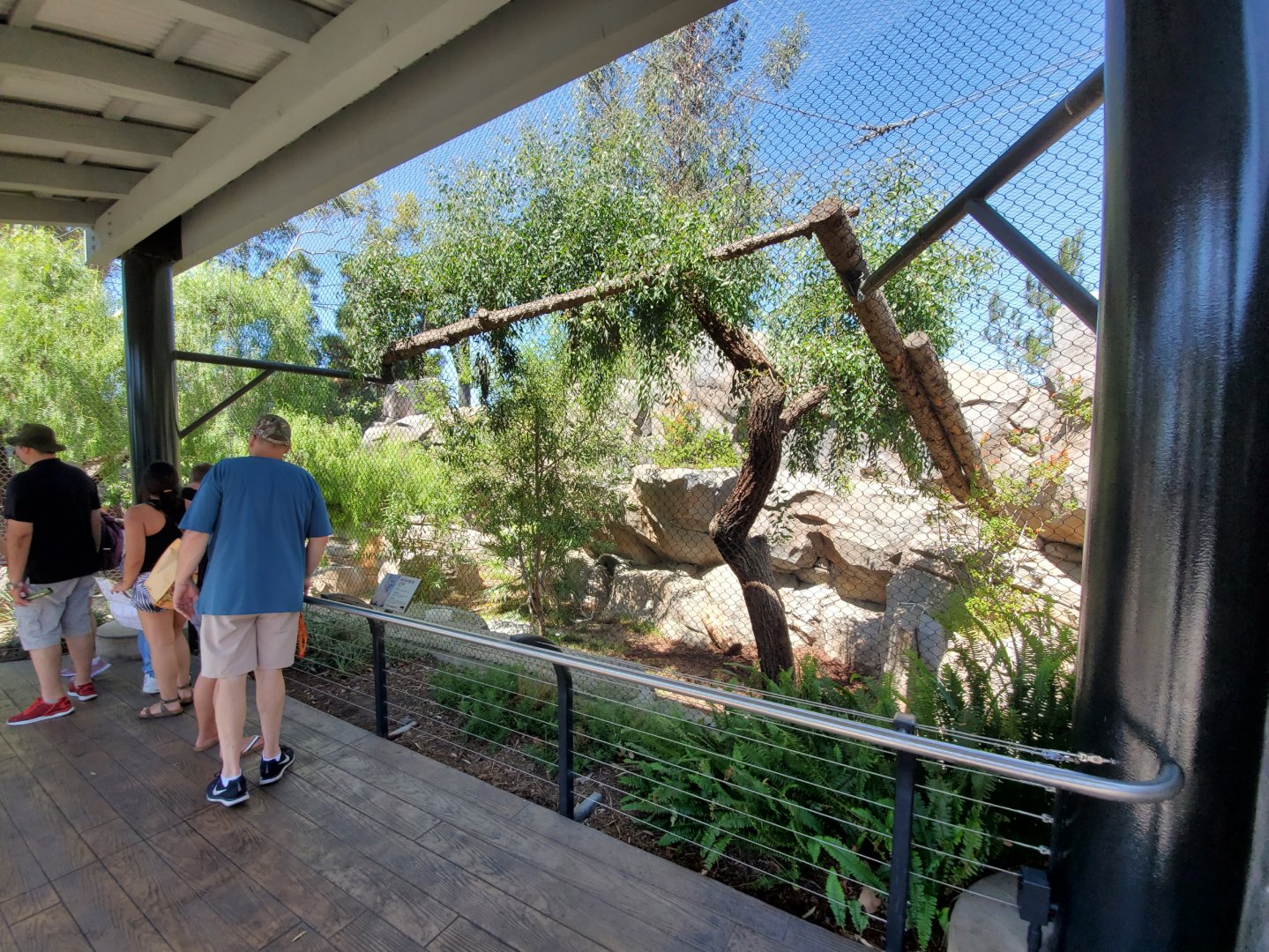 Sep. 2019 - Northern Frontier - Mountain Lion Exhibit