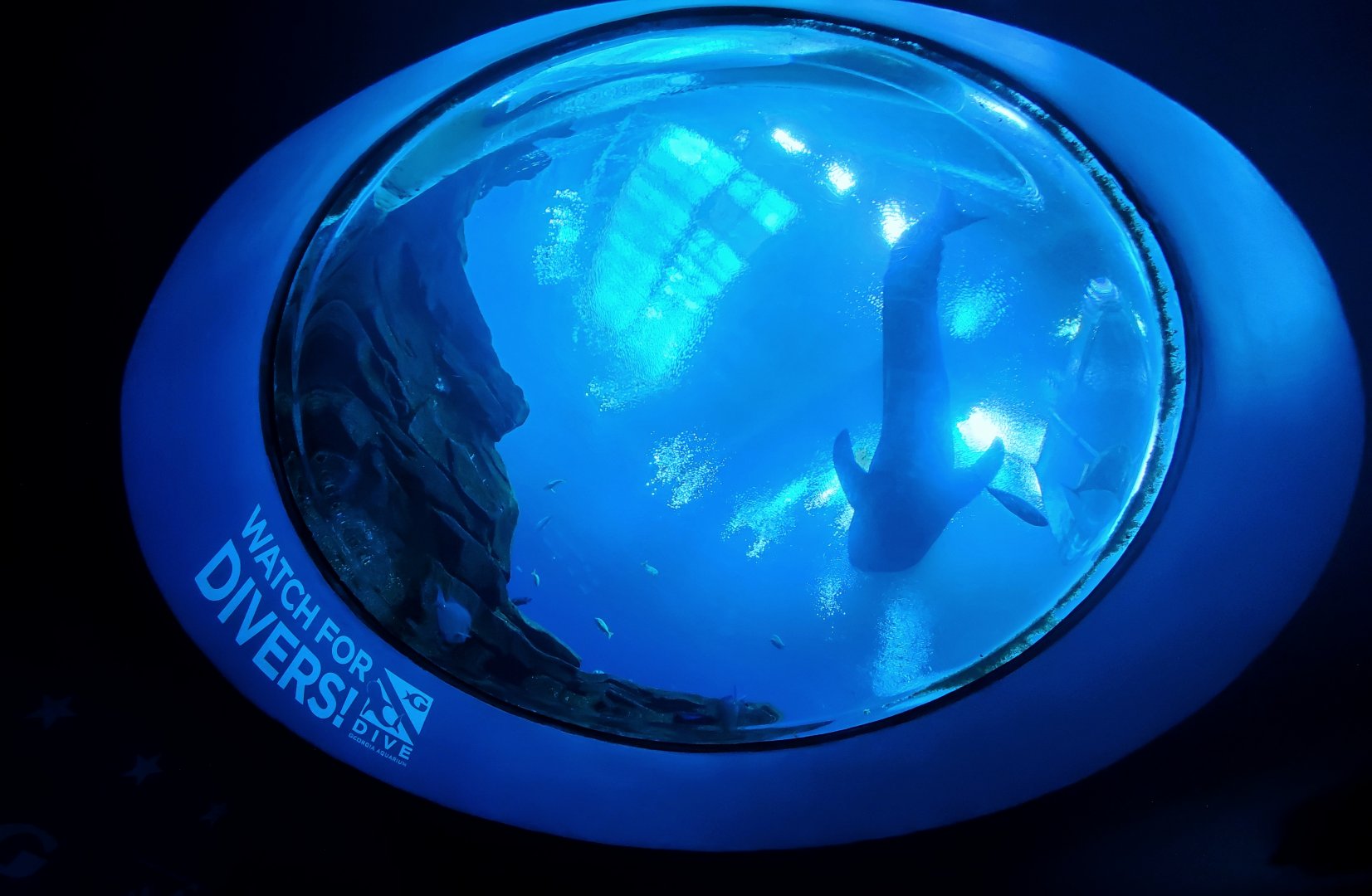 Sep. 2019 - Ocean Voyager - Ceiling View