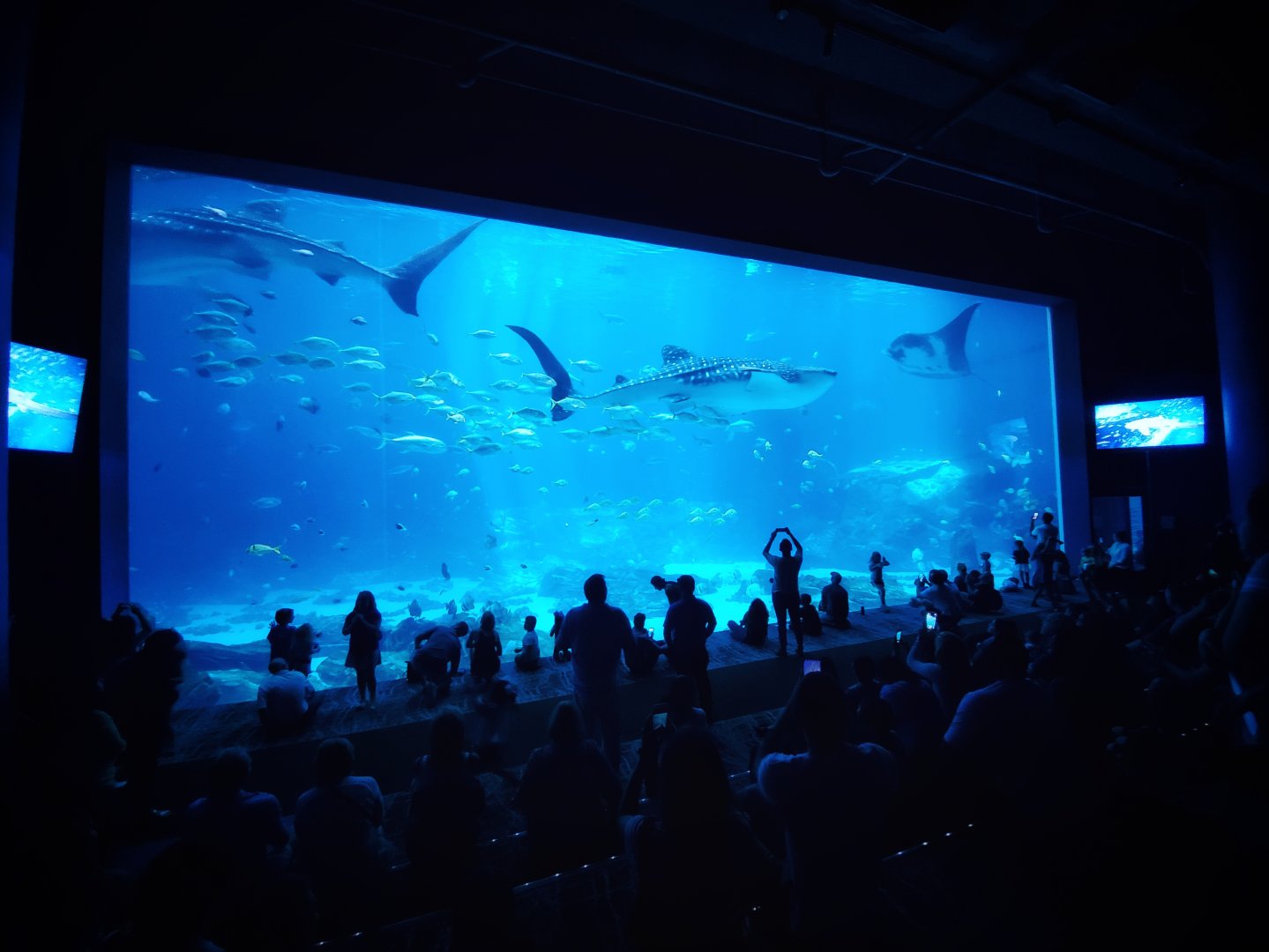 Sep. 2019 - Ocean Voyager - Last View