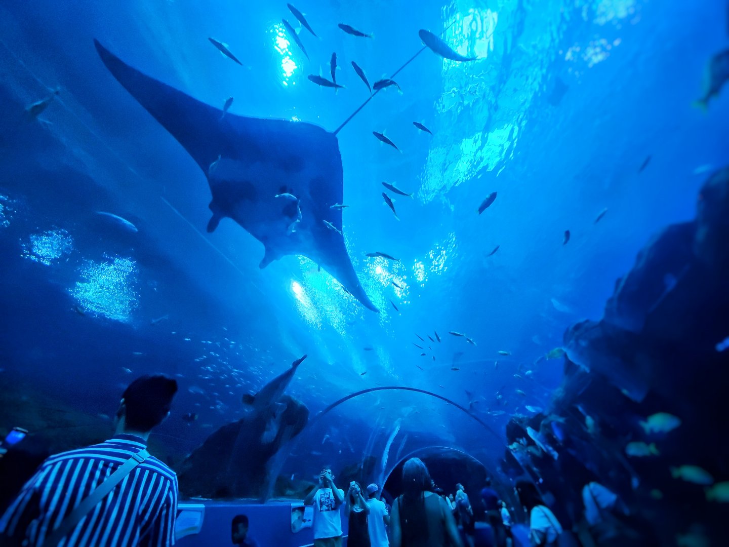 Sep. 2019 - Ocean Voyager - Tunnel