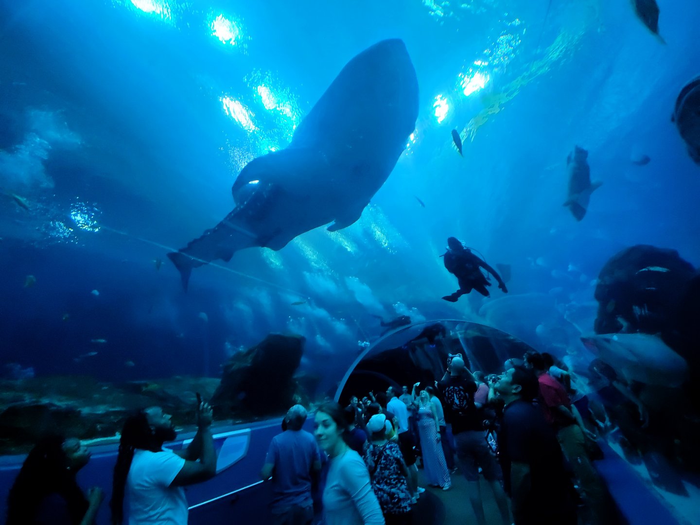 Sep. 2019 - Ocean Voyager - Tunnel