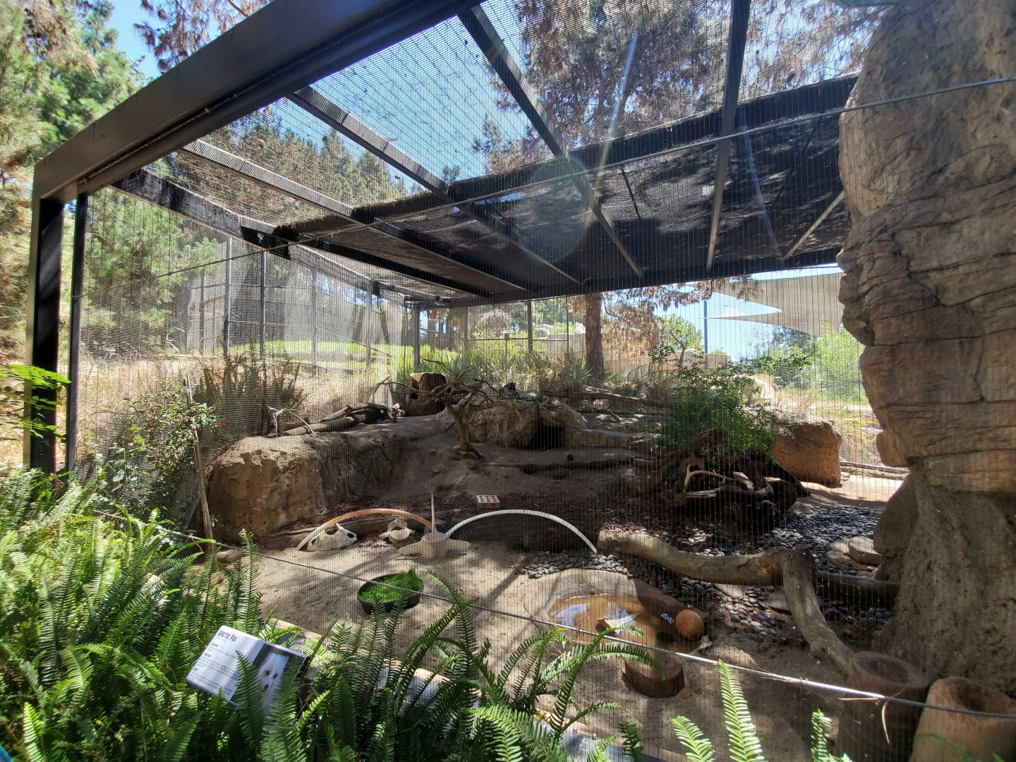 Sep. 2019 - Polar Bear Plunge - Arctic Fox Exhibit