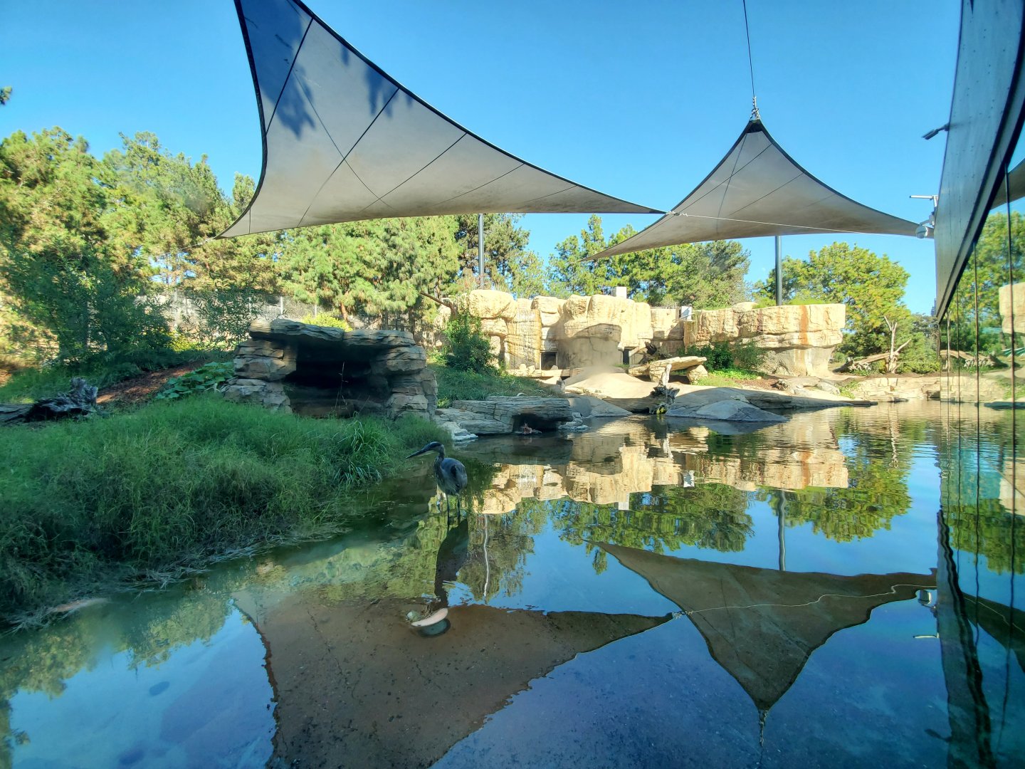 Sep. 2019 - Polar Bear Plunge - Polar Bear Exhibit