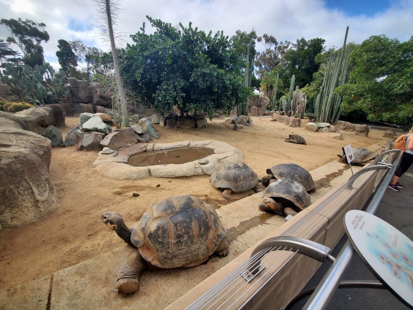 Sep. 2019 - Reptile House - Reptile Walk - Galapagos Tortoise Exhibit