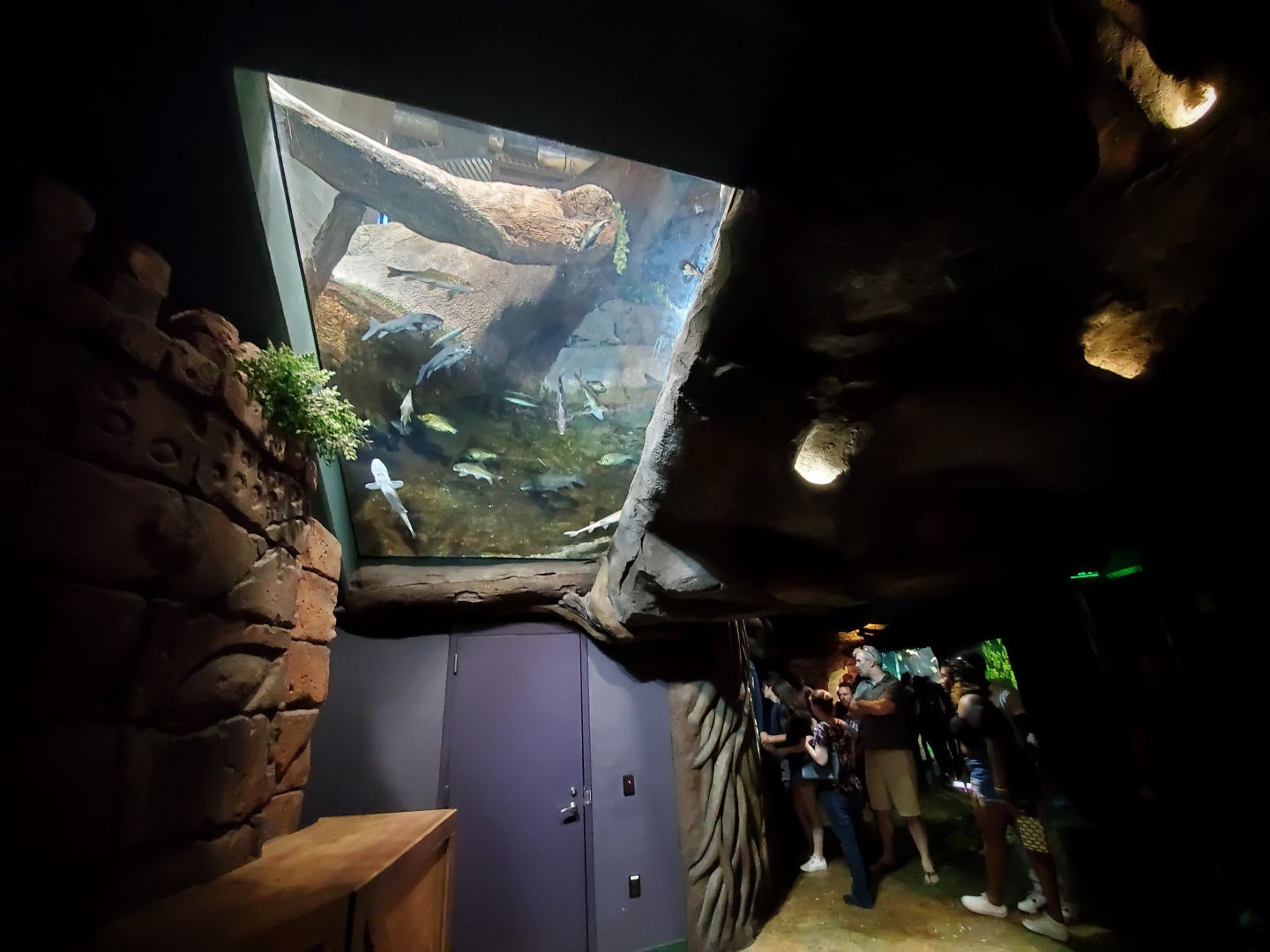 Sep. 2019 - River Scout - American Freshwater Ceiling Tank