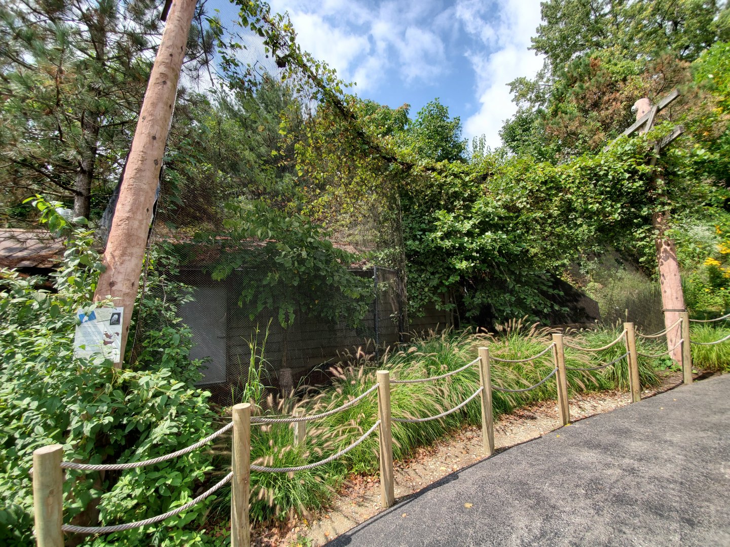 Sep. 2019 - Snow Owl Exhibit