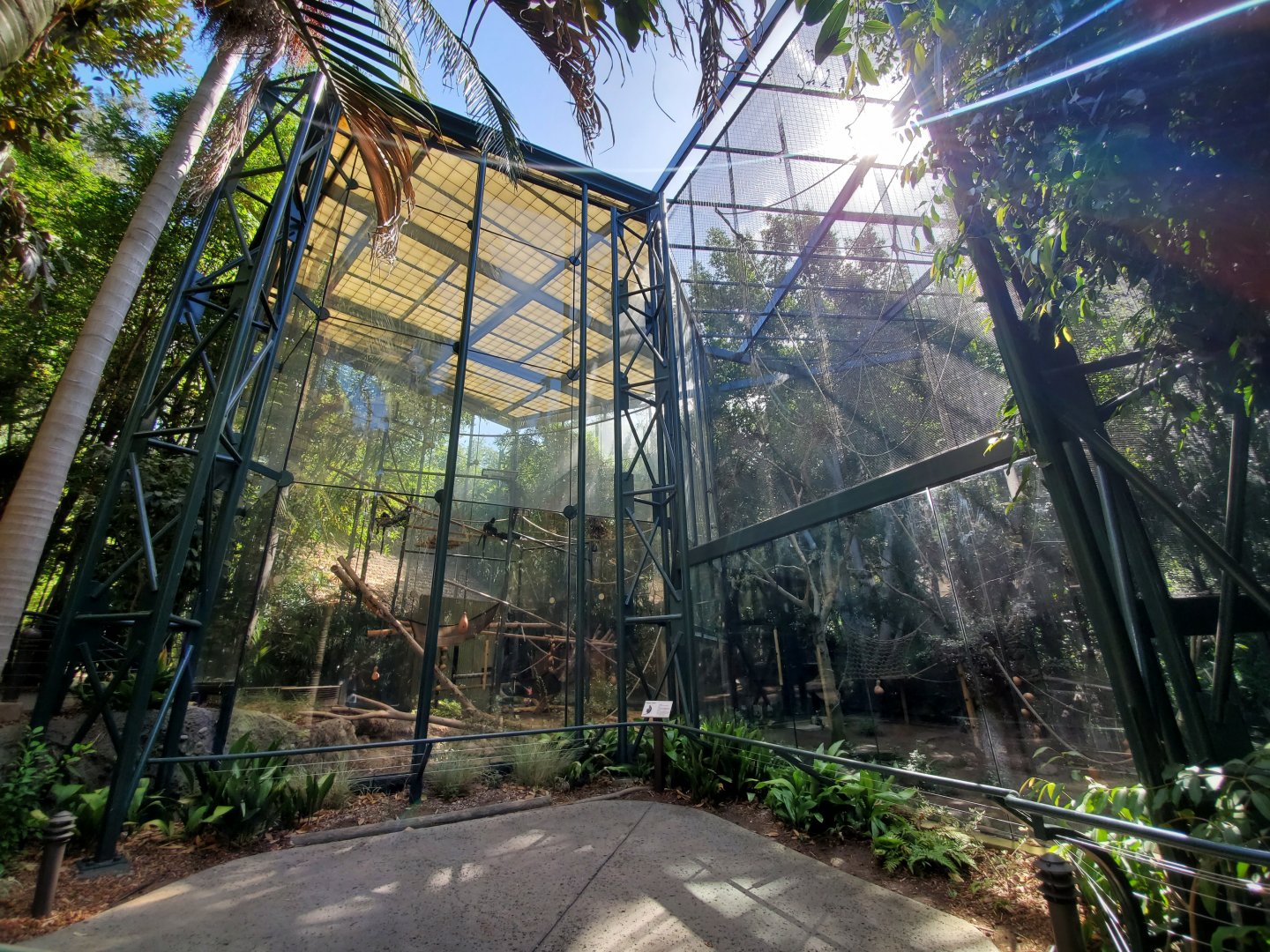 Sep. 2019 - Sun Bear Forest - Francois' Langur Exhibits