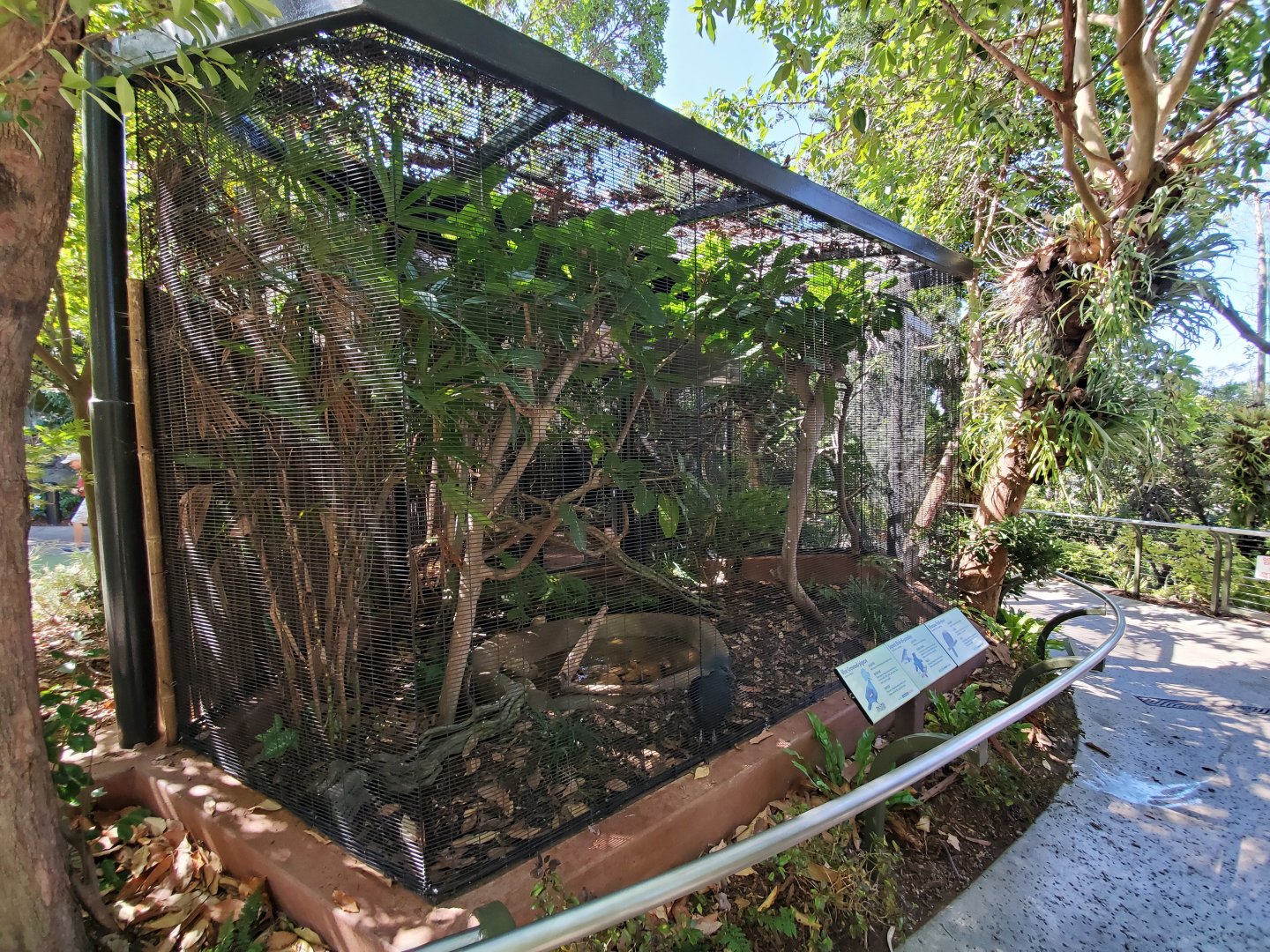 Sep. 2019 - The Lost Forest - Australasia Aviaries - Superb Bird of Paradise/Crowned Pigeon/Wompoo Fruit Dove Exhibit