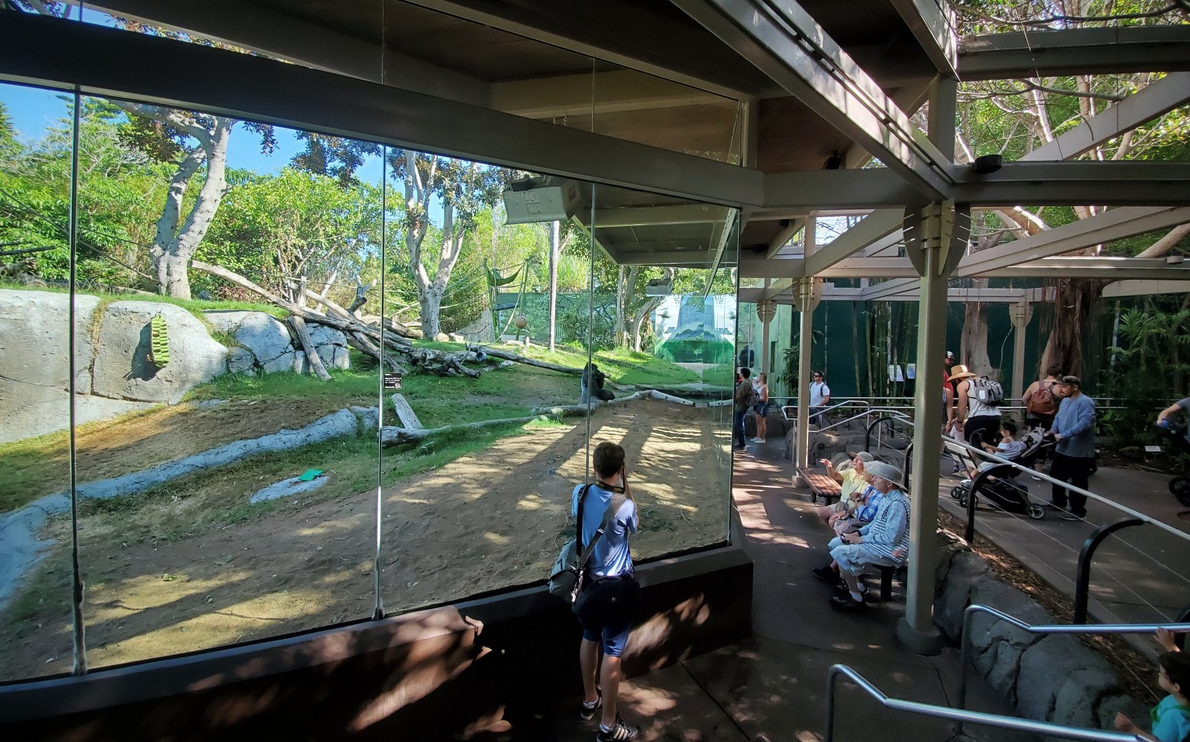 Sep. 2019 - The Lost Forest - Gorilla Tropics - Gorilla Exhibit Glass Viewing