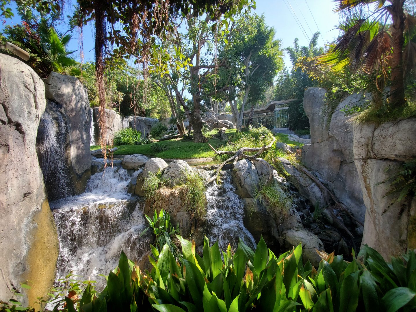 Sep. 2019 - The Lost Forest - Gorilla Tropics - Gorilla Exhibit