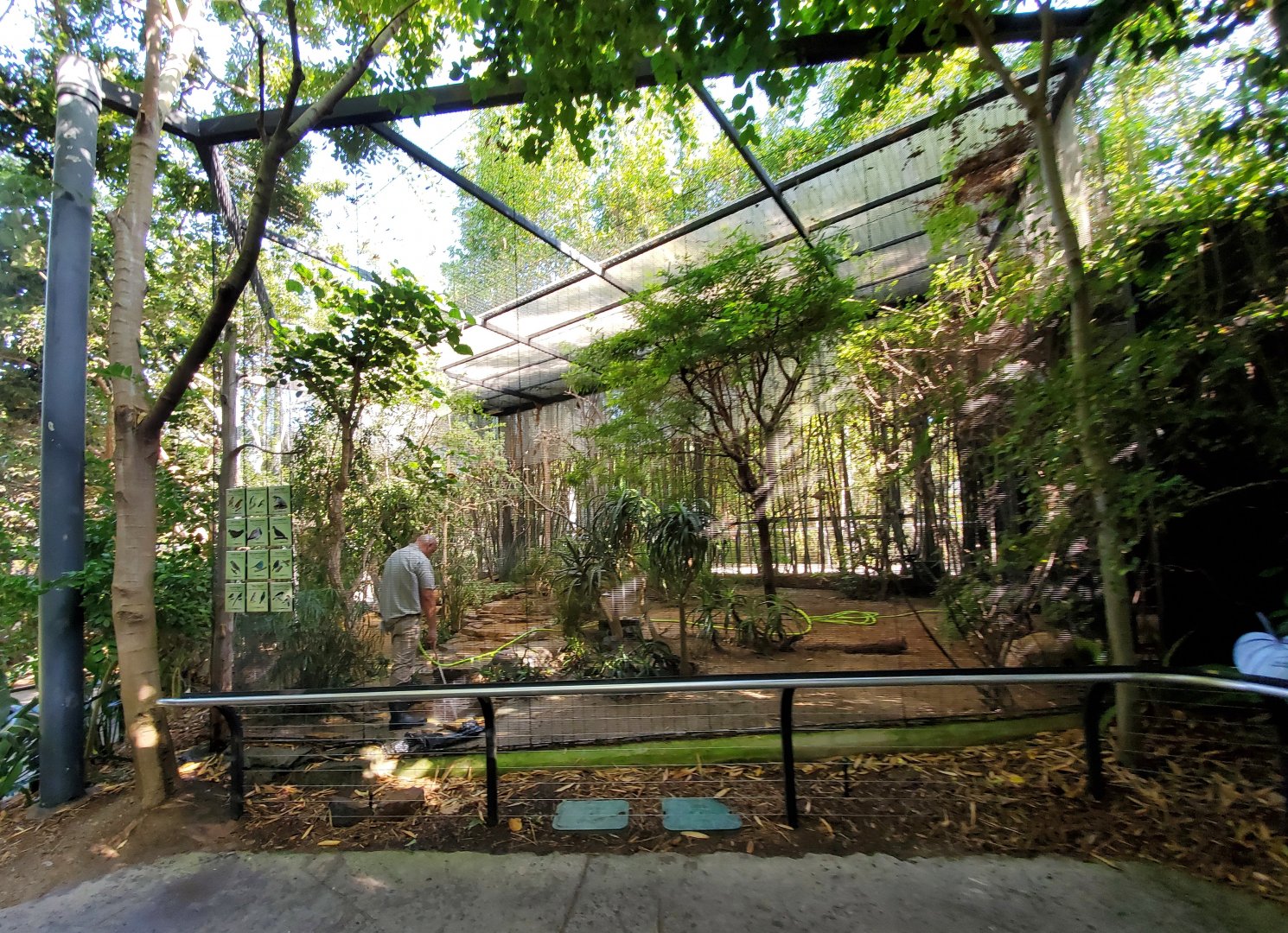 Sep. 2019 - The Lost Forest - Monkey Trails & Forest Tales - 12 Species Aviary
