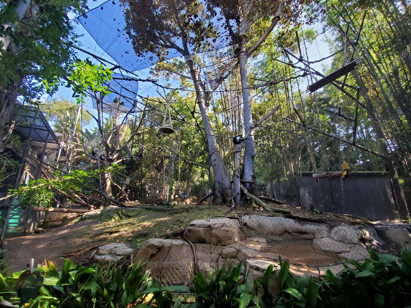 Sep. 2019 - The Lost Forest - Monkey Trails & Forest Tales - Angolan Colobus Exhibit