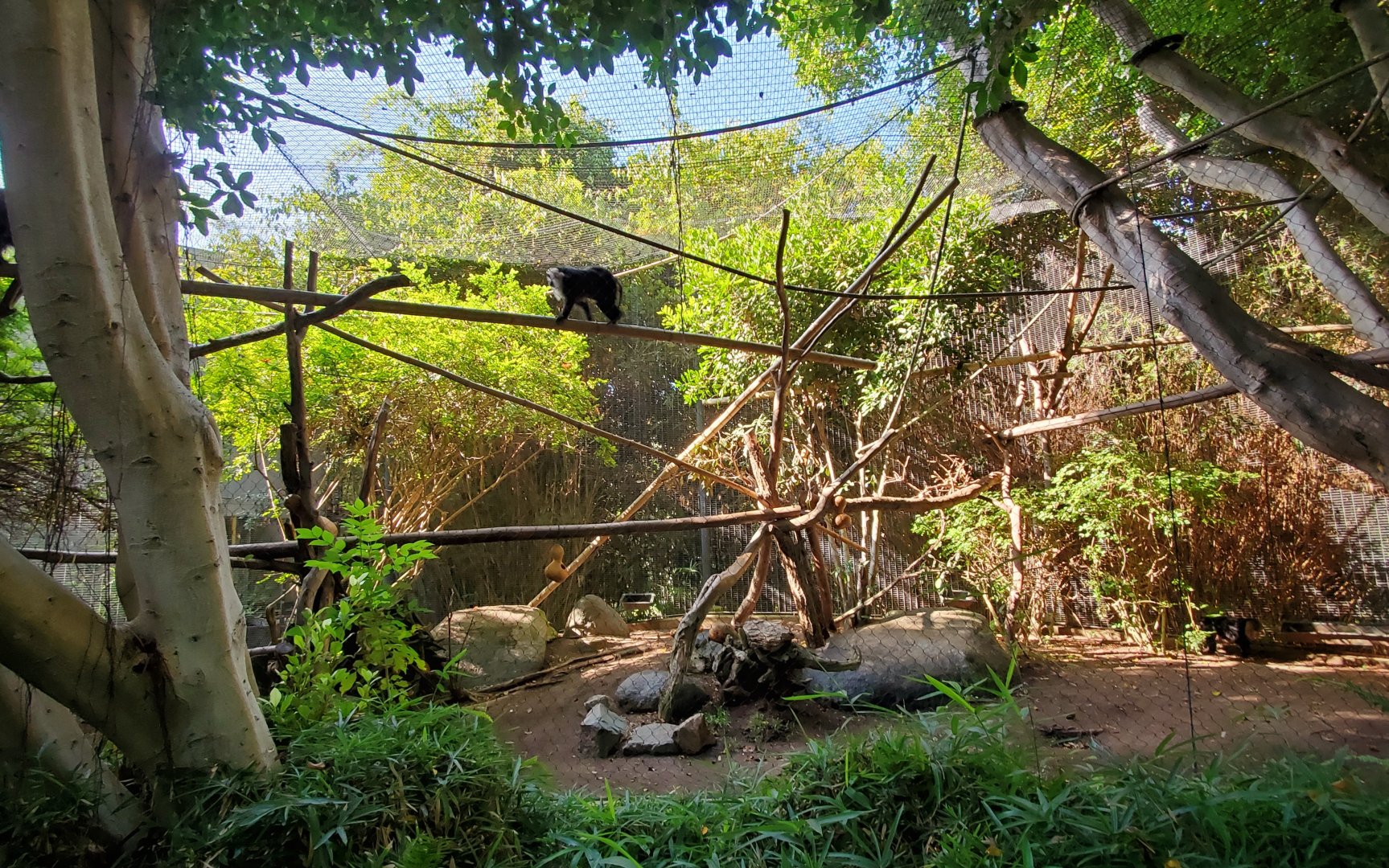 Sep. 2019 - The Lost Forest - Monkey Trails & Forest Tales - Lion-tailed Macaque Exhibit