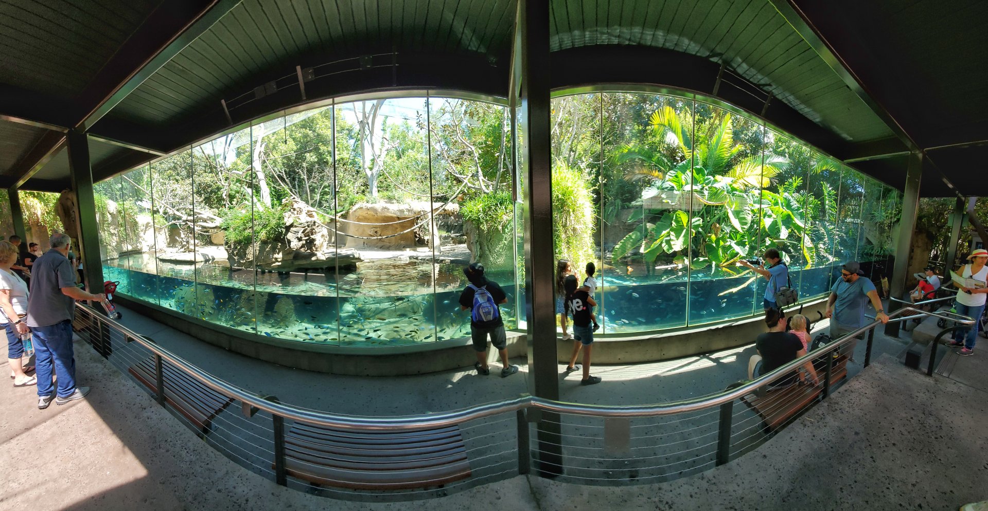 Sep. 2019 - The Lost Forest - Monkey Trails & Forest Tales - Pygmy Hippo/Wolf's Guenon/Spot-nosed Monkey + Slender-snouted Crocodile Exhibit