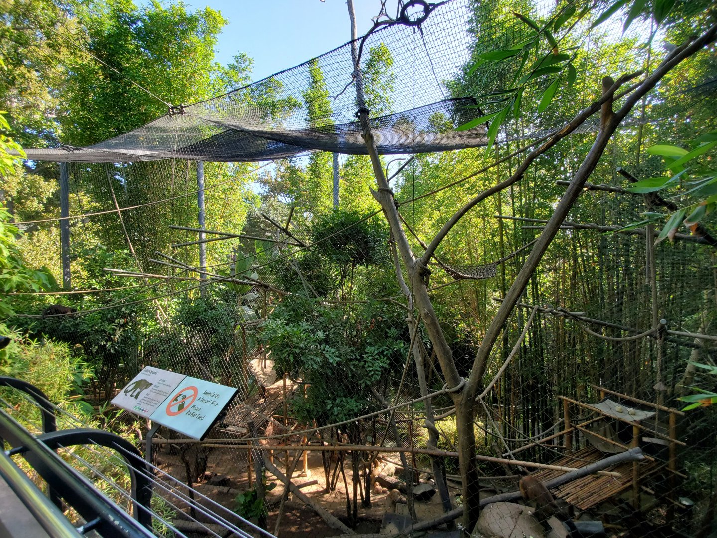 Sep. 2019 - The Lost Forest - Monkey Trails & Forest Tales - Tufted Capuchin Exhibit