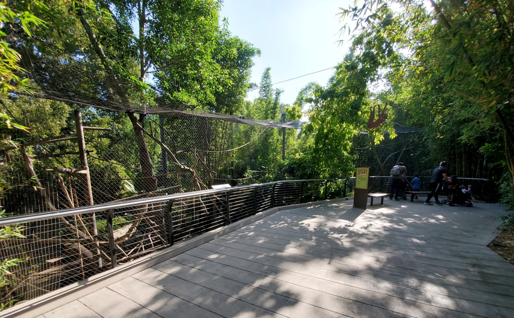 Sep. 2019 - The Lost Forest - Monkey Trails & Forest Tales - Tufted Capuchin Viewing