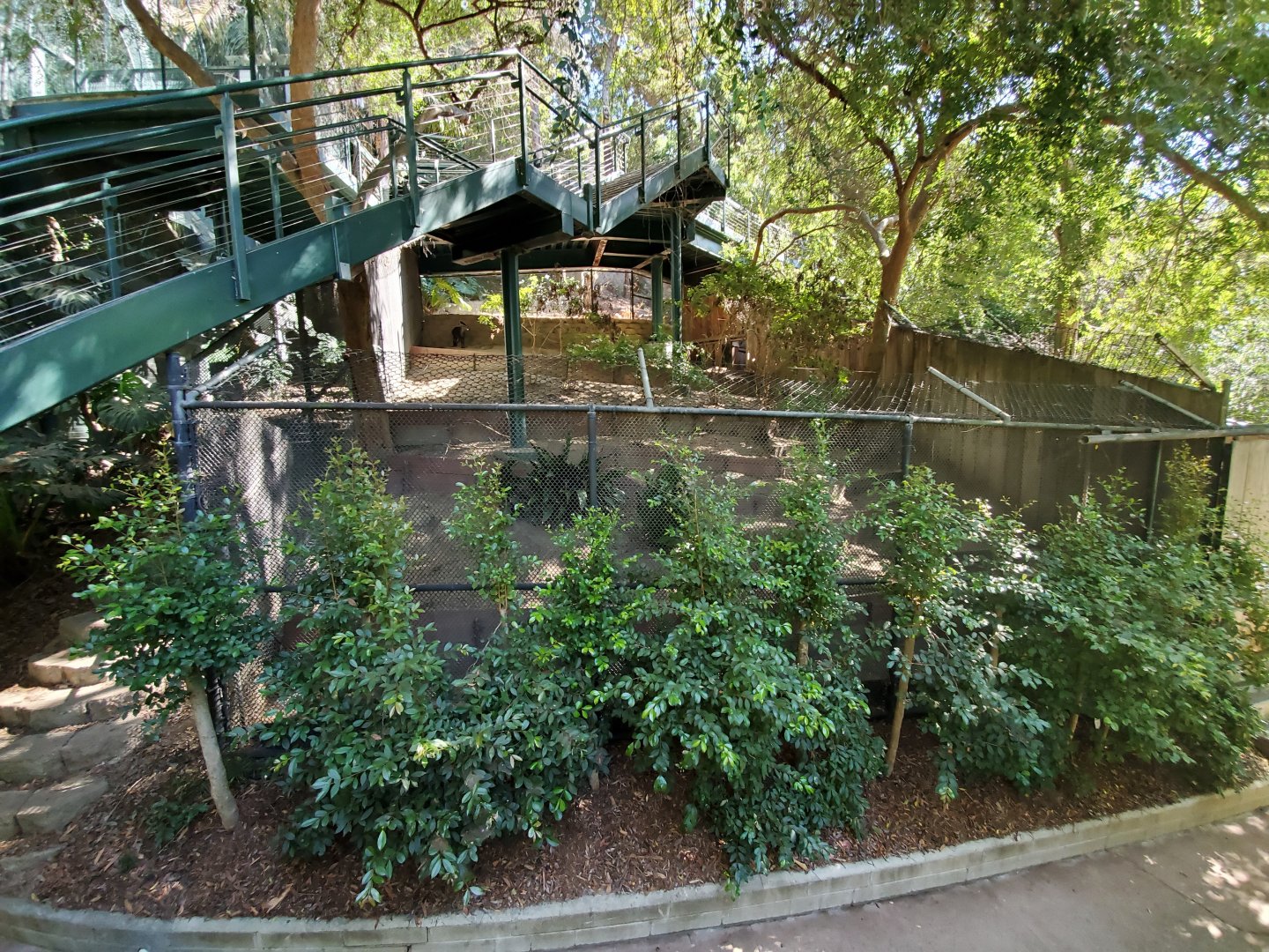 Sep. 2019 - The Lost Forest - Monkey Trails & Forest Tales - Tufted Deer Exhibit