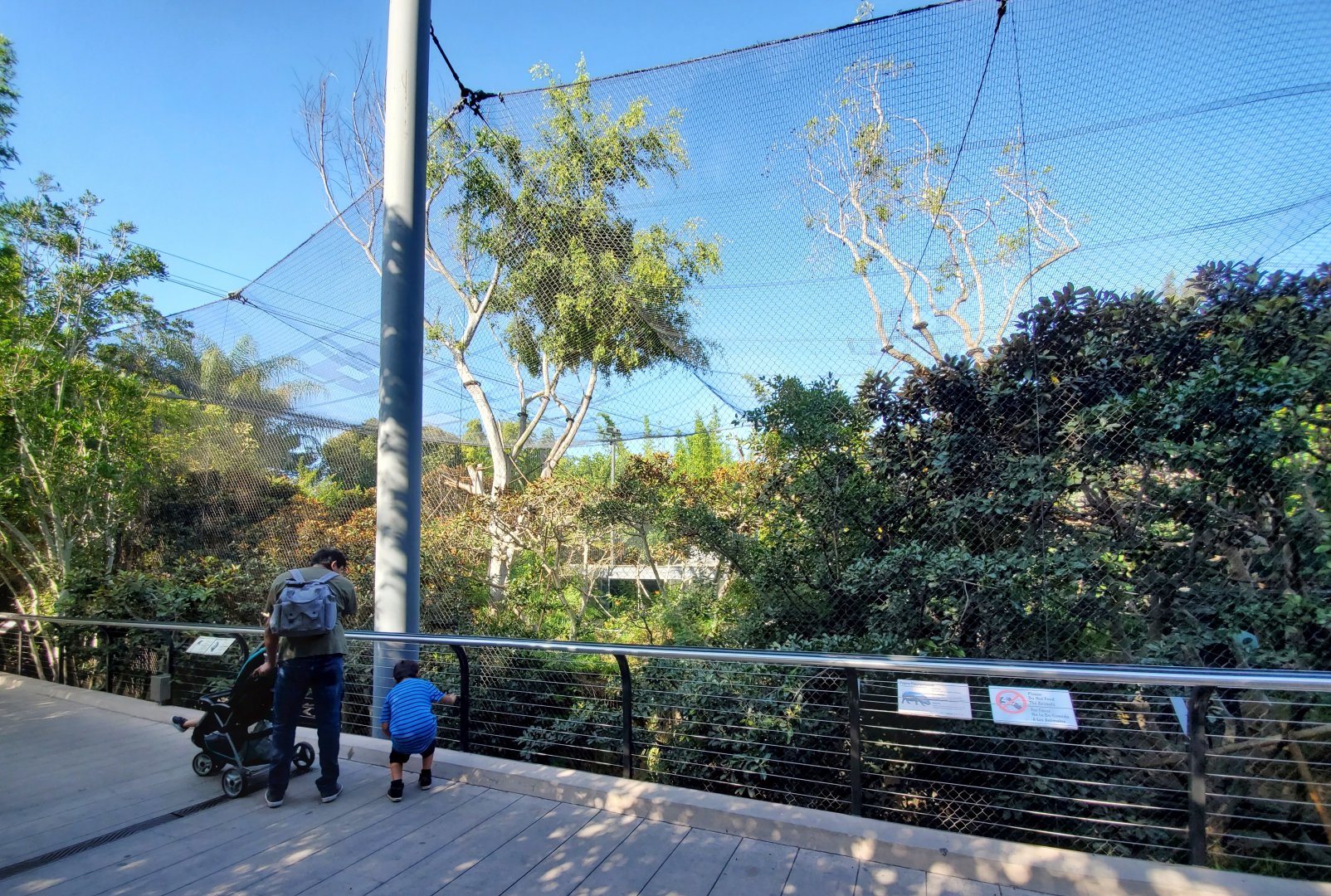 Sep. 2019 - The Lost Forest - Monkey Trails & Forest Tales - Wolf's Guenon/Spot-nosed Monkey/Pygmy Hippo Exhibit