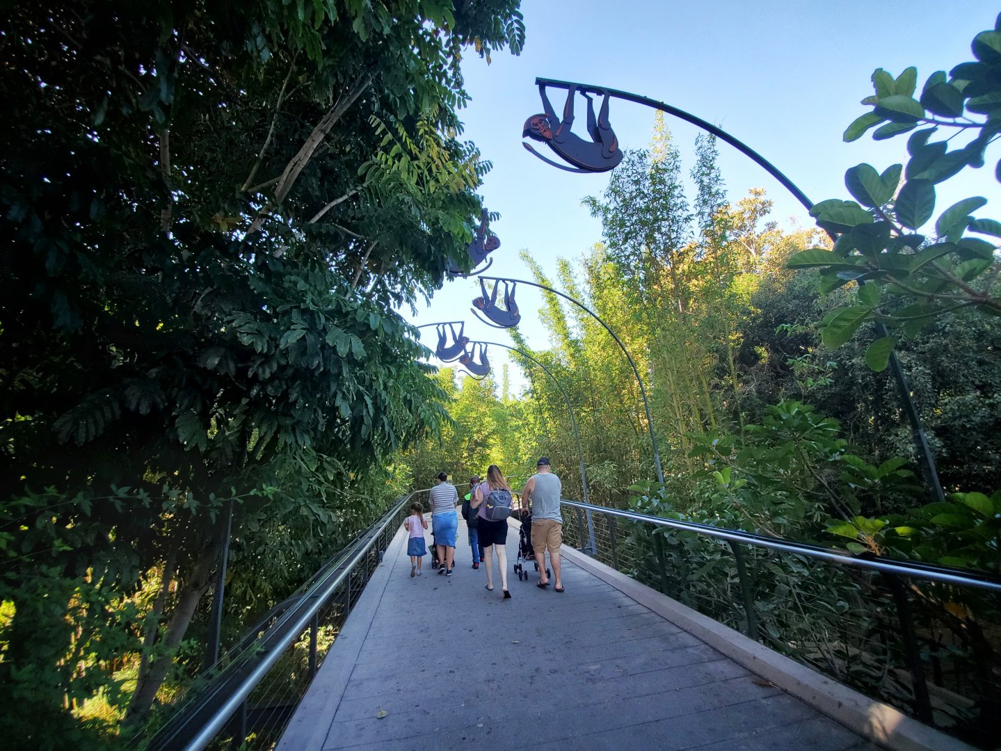 Sep. 2019 - The Lost Forest - Monkey Trails & Forest Tales