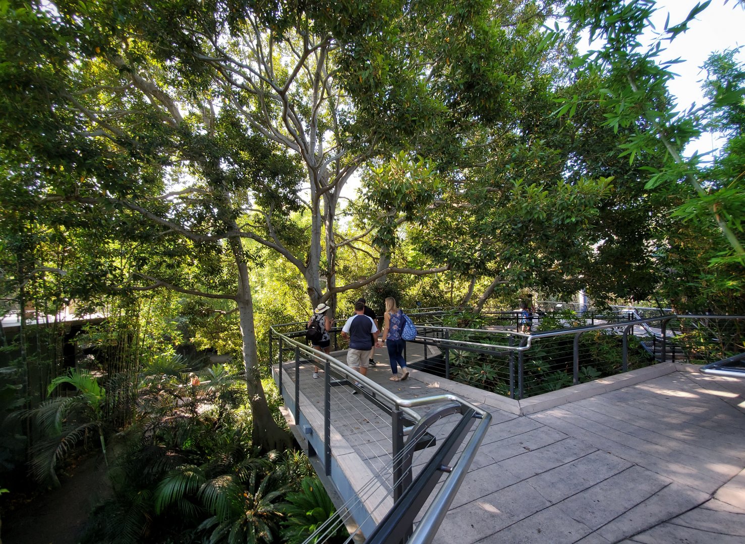 Sep. 2019 - The Lost Forest - Monkey Trails & Forest Tales