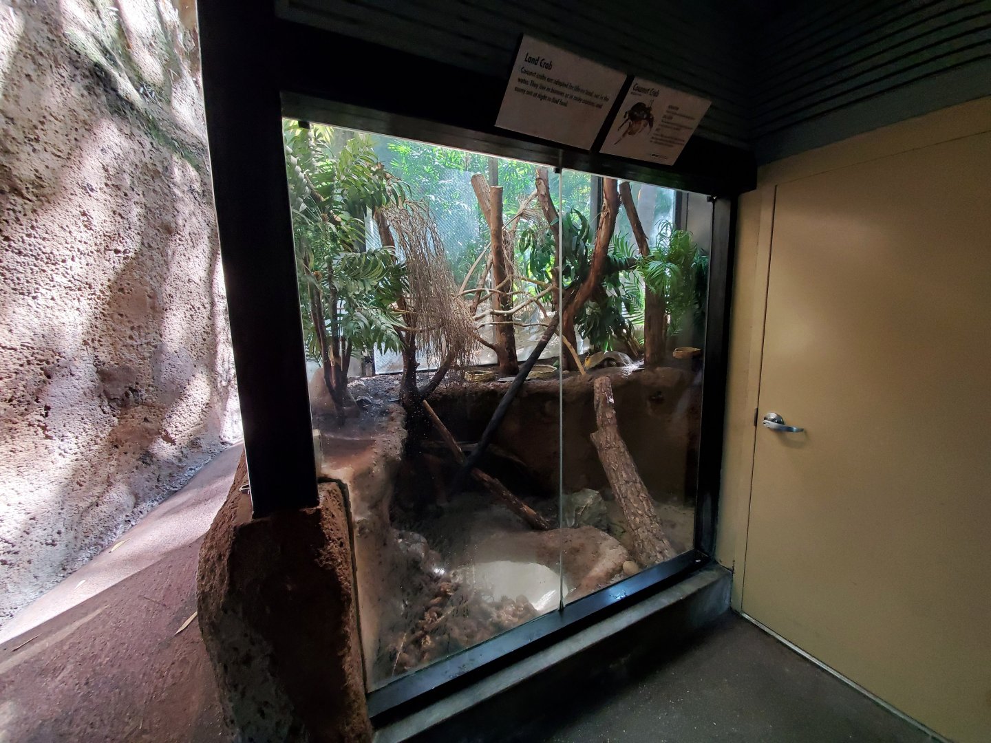 Sep. 2019 - The Lost Forest - Tiger River - Coconut Crab Exhibit