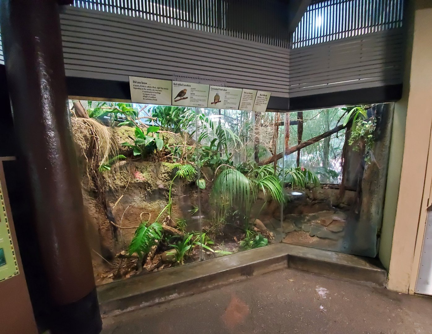 Sep. 2019 - The Lost Forest - Tiger River - Coronated Fruit Dove/Red-billed Leiothrix Exhibit