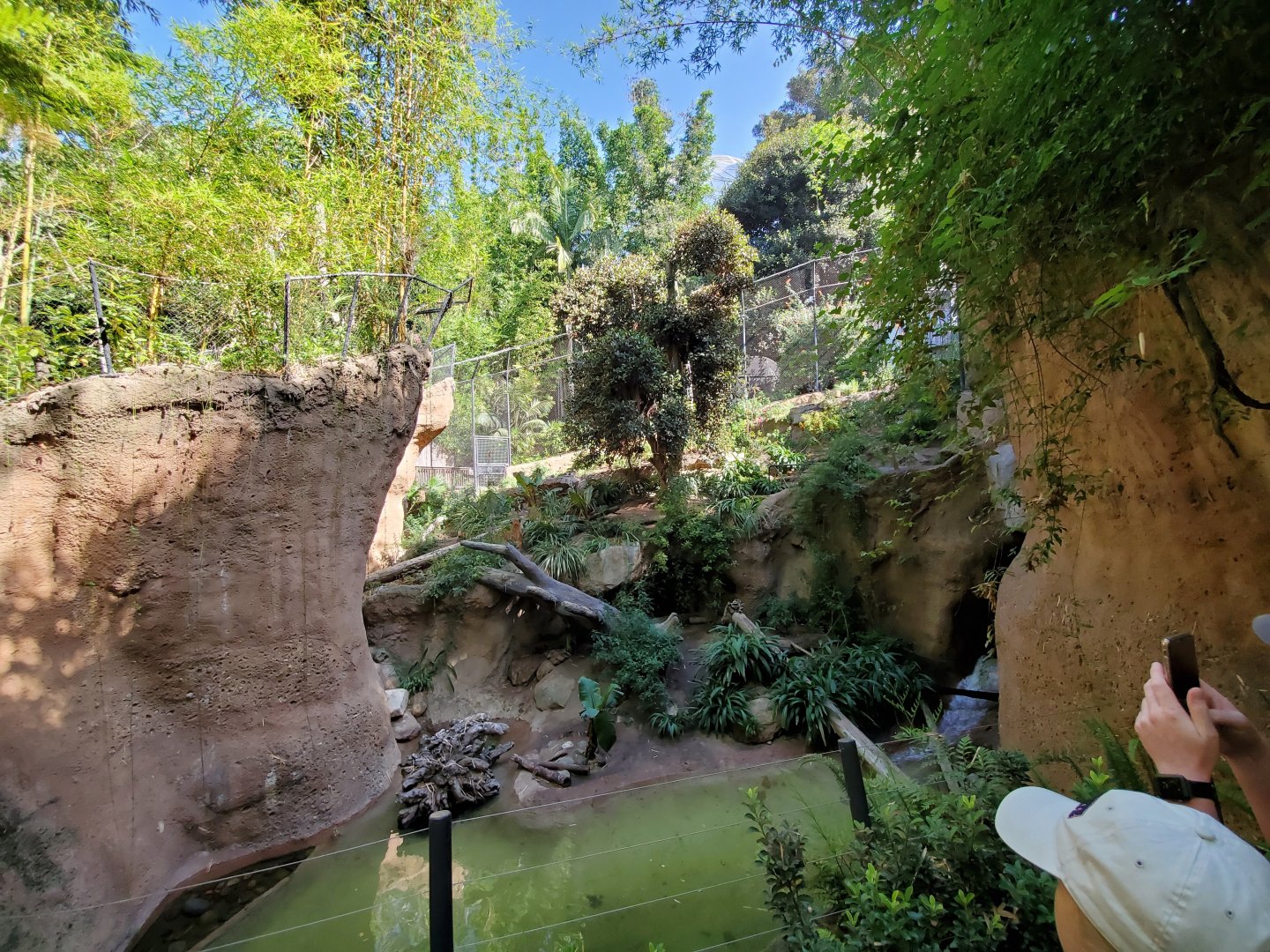 Sep. 2019 - The Lost Forest - Tiger River - Second Malayan Tiger Exhibit