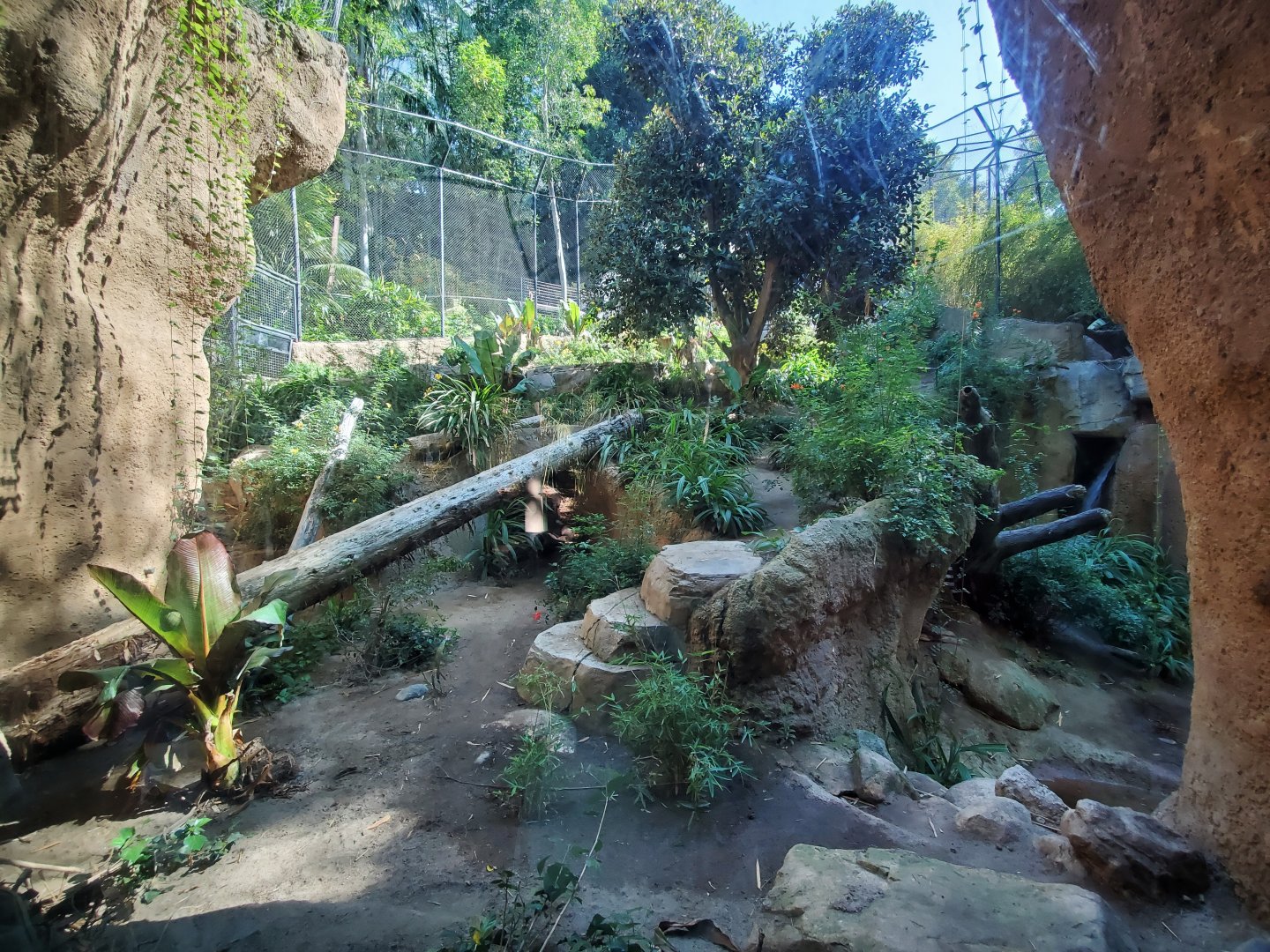 Sep. 2019 - The Lost Forest - Tiger River - Second Malayan Tiger Exhibit