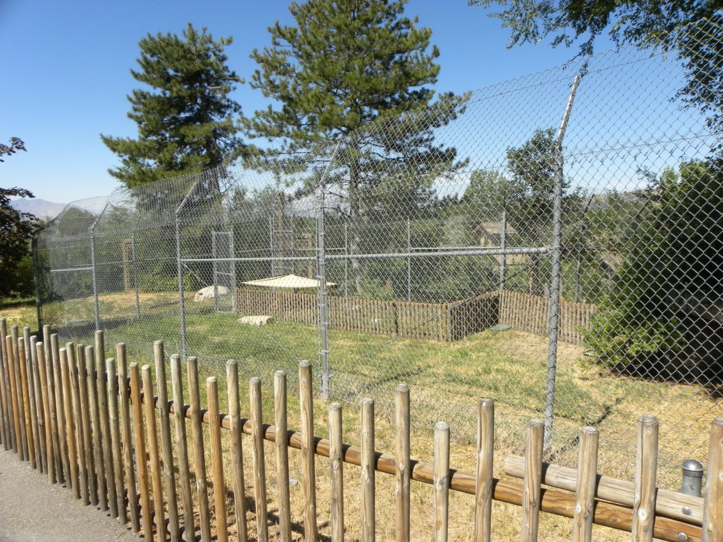 Sep. 2019 - Tortoise Exhibit