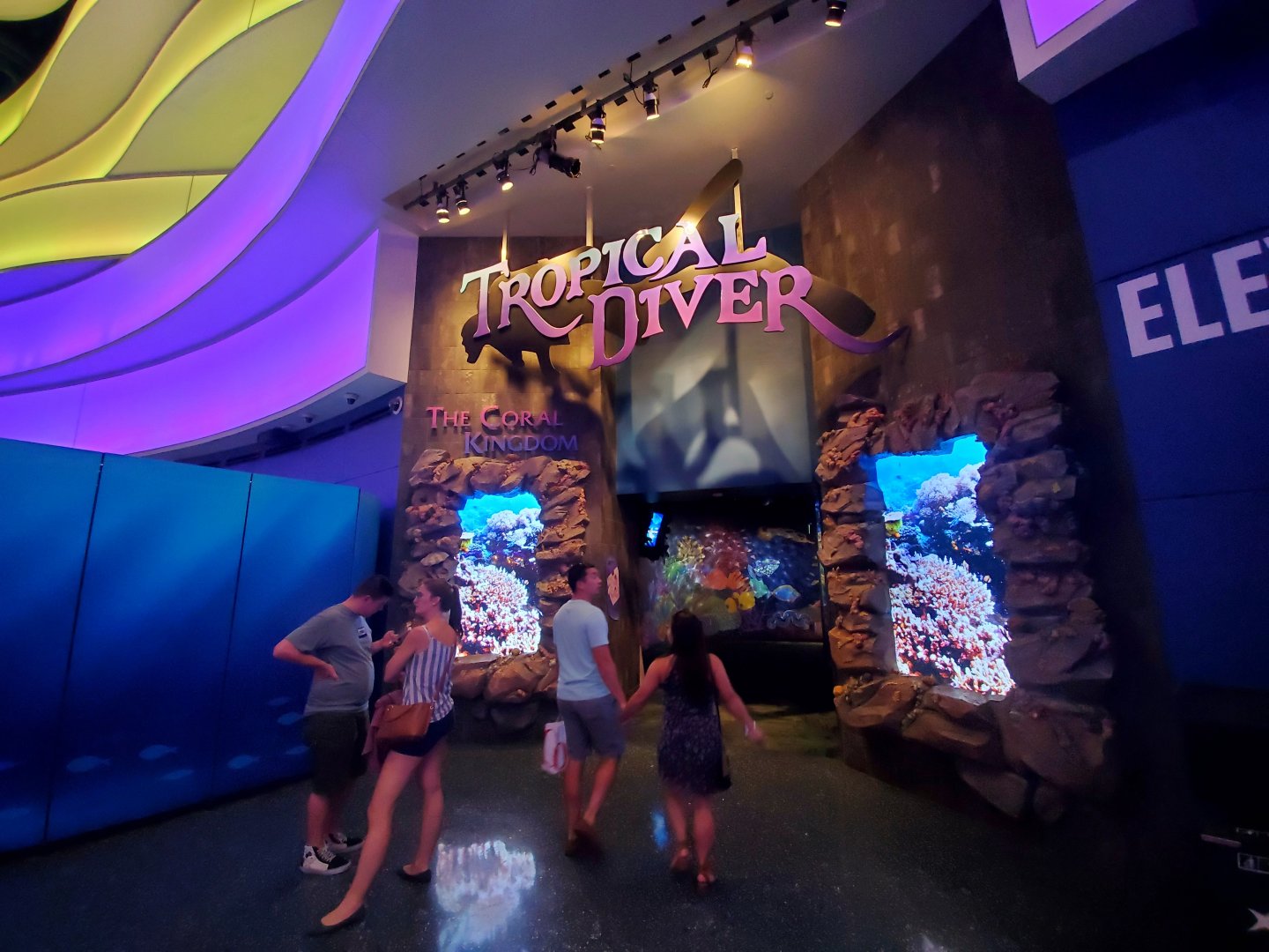 Sep. 2019 - Tropical Diver Entrance