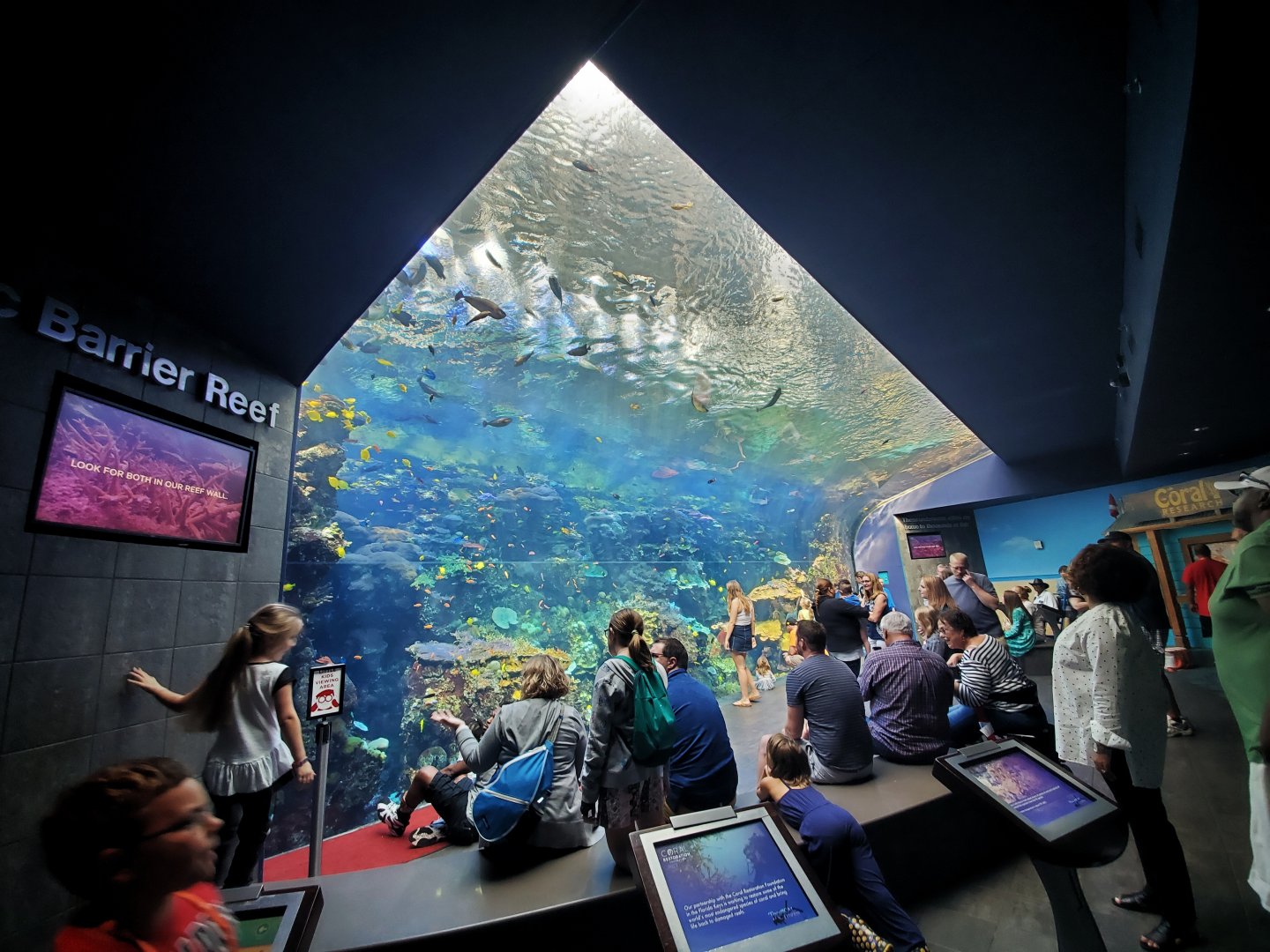 Sep. 2019 - Tropical Diver - Pacific Barrier Reef Tank