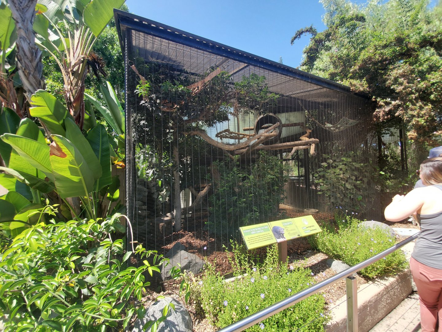 Sep. 2019 - Urban Jungle - Bearcat Exhibit