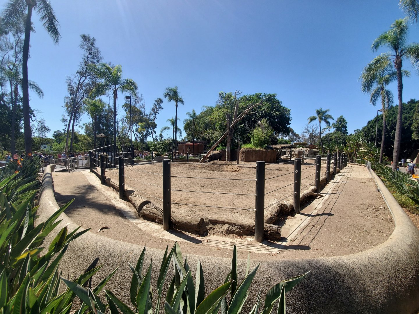 Sep. 2019 - Urban Jungle - Indian Rhino Exhibit