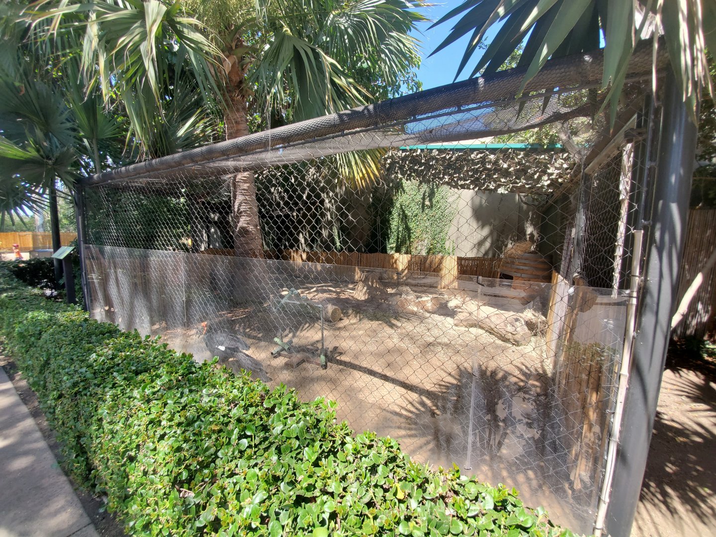 Sep. 2019 - Urban Jungle - Southern Ground Hornbill Exhibit