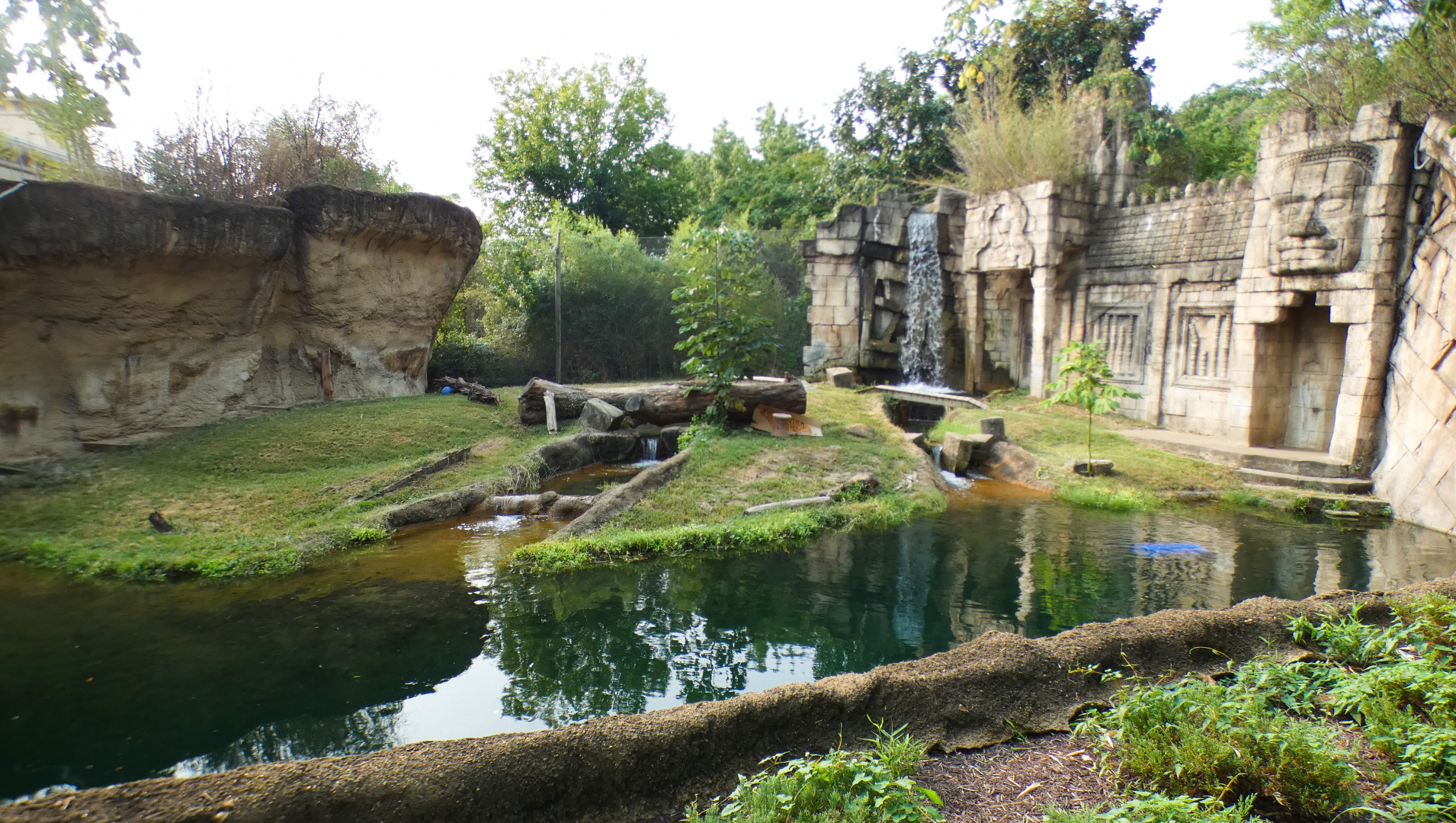 Sep. 2021 - Cat Country - Sumatran Tiger/Bengal Tiger Exhibit