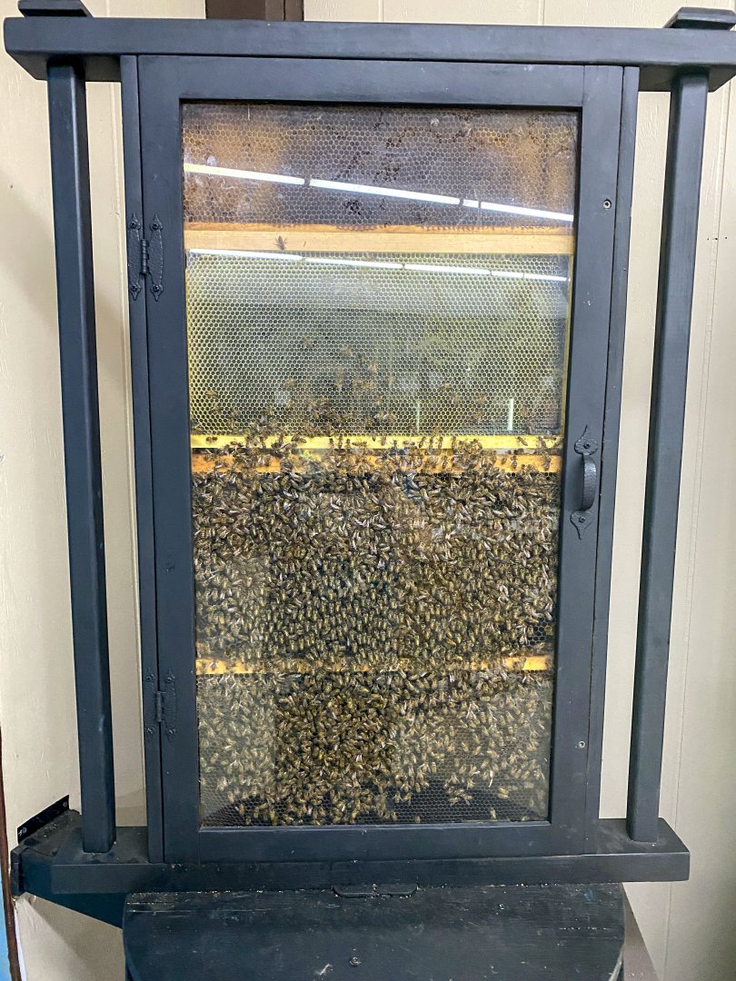 Sep. 2021 - Honeybee Exhibit (Stuckey Farm)