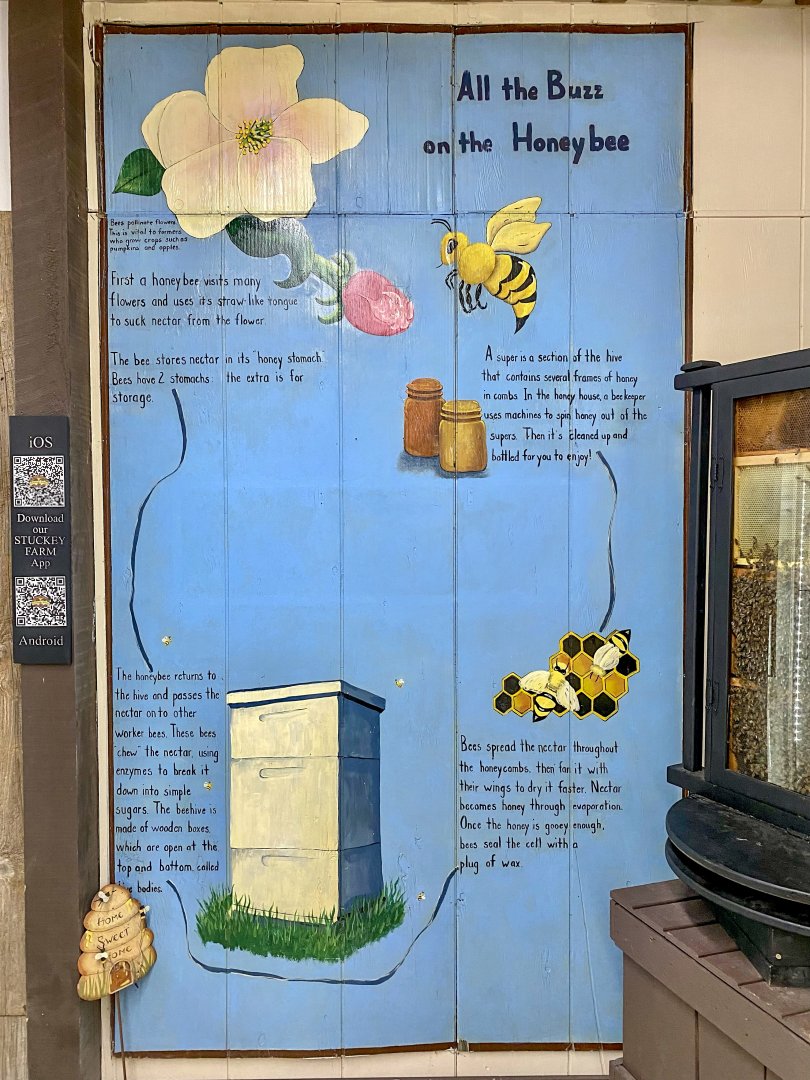 Sep. 2021 - Info on Honeybees (Stuckey Farm)