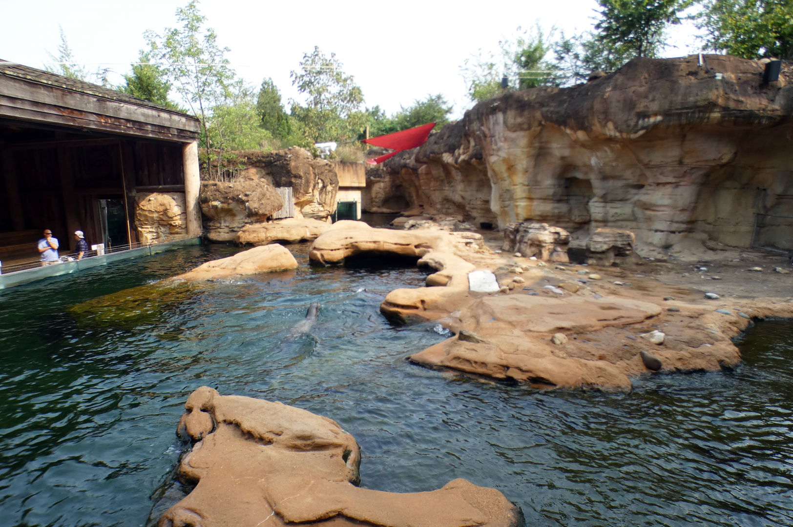 Sep. 2021 - Northwest Passage - California Sea Lion Exhibit