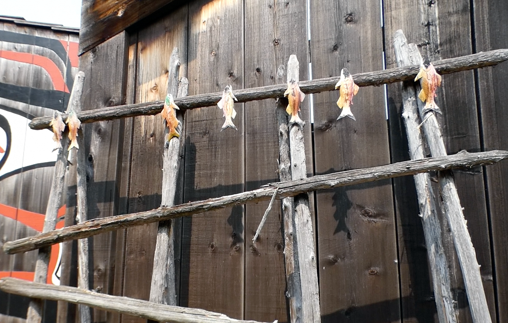 Sep. 2021 - Northwest Passage - Salmon