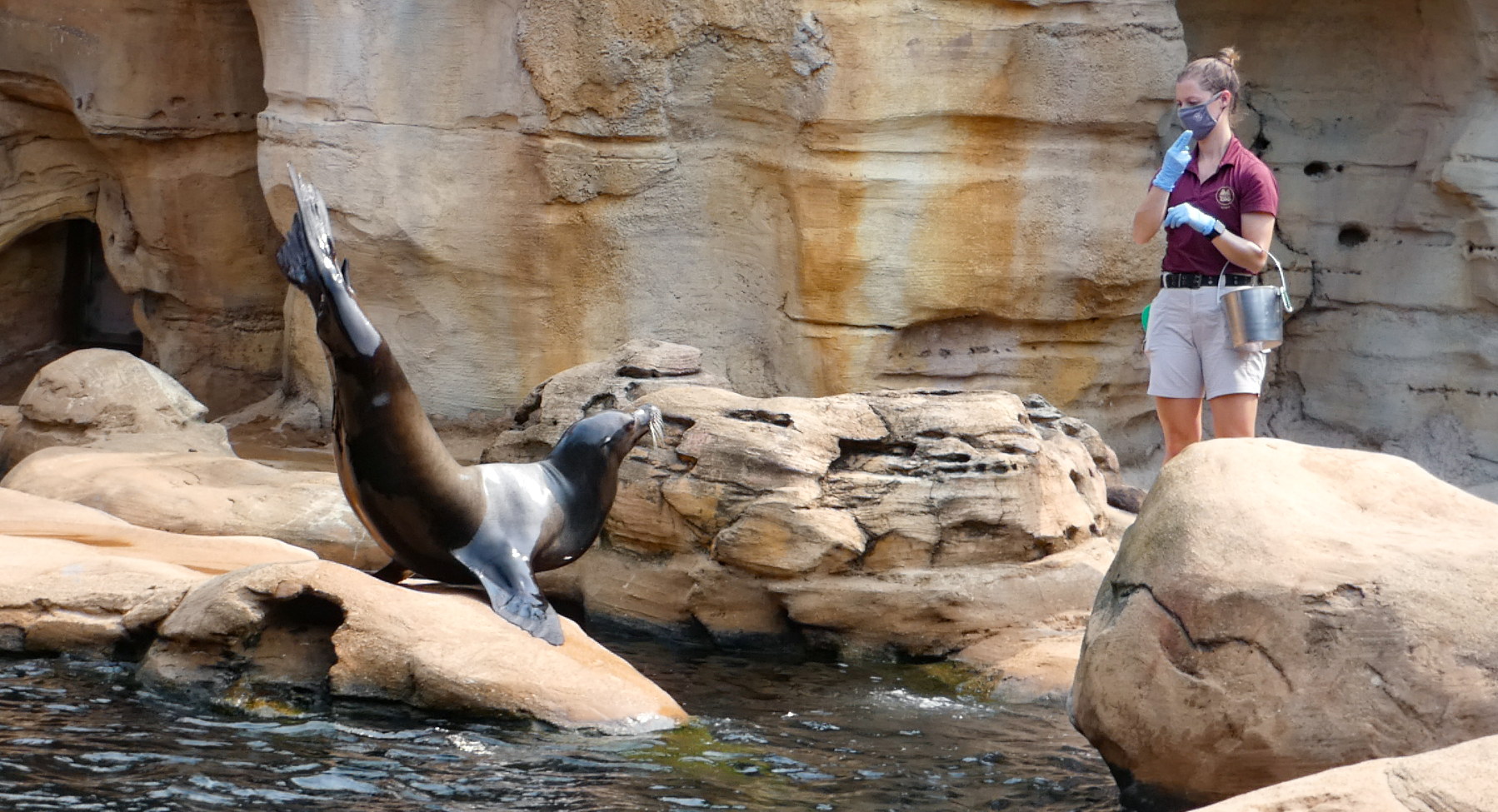 Sep. 2021 - Northwest Passage - Sea Lion Presentation