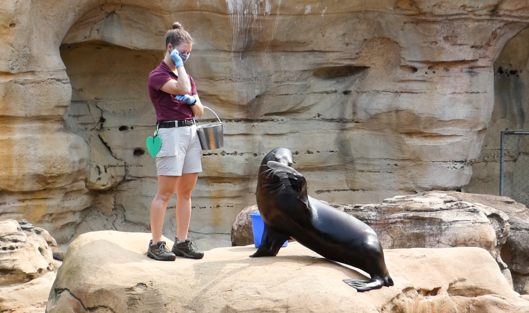 Sep. 2021 - Northwest Passage - Sea Lion Presentation