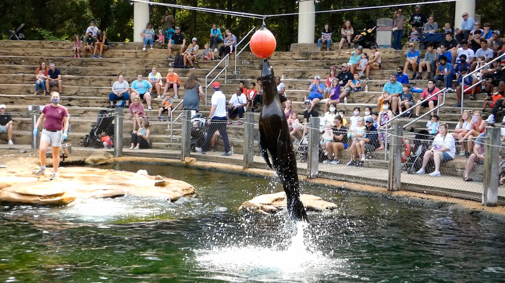 Sep. 2021 - Northwest Passage - Sea Lion Presentation