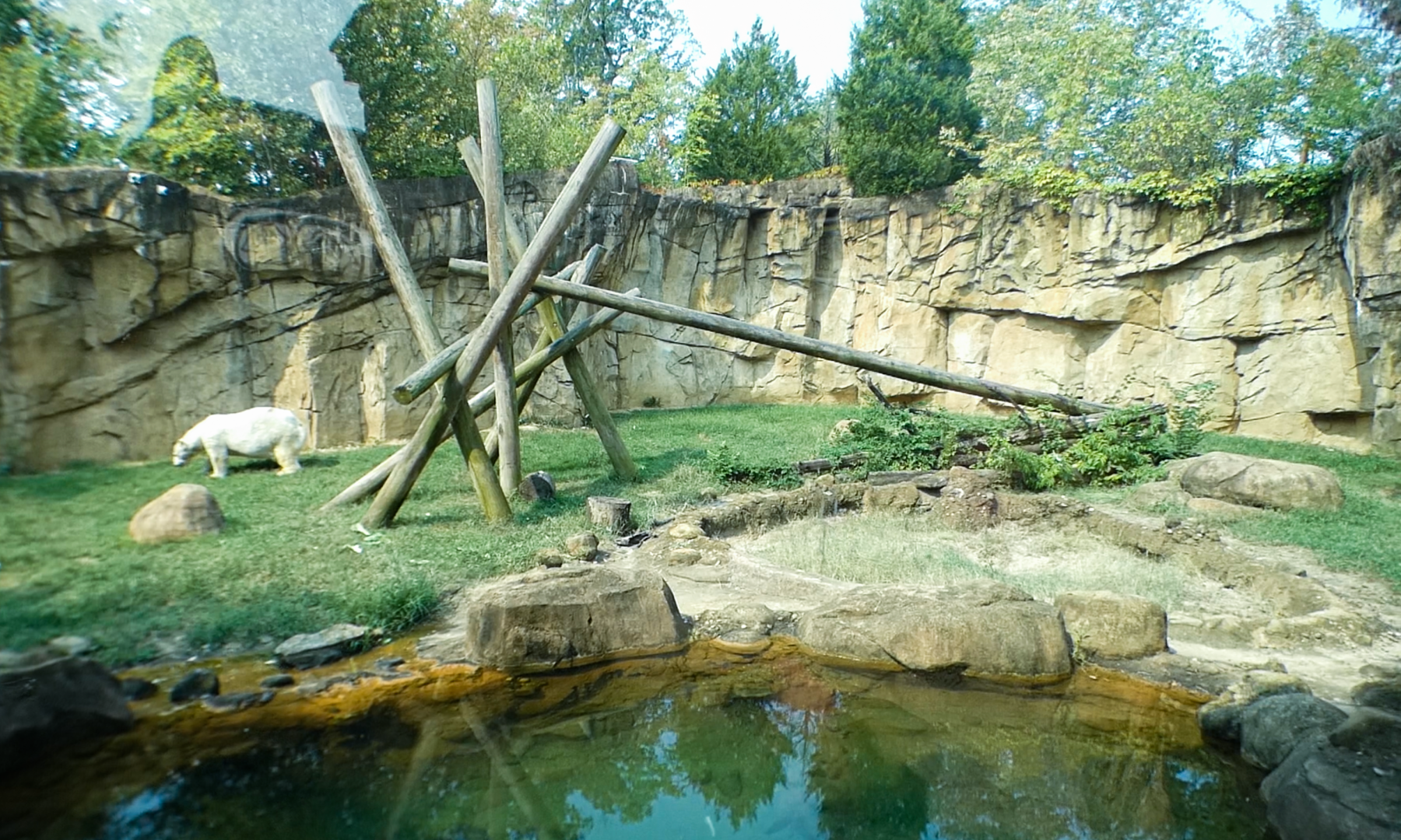 Sep. 2021 - Northwest Passage - Second Polar Bear Exhibit (Former Black Bear)